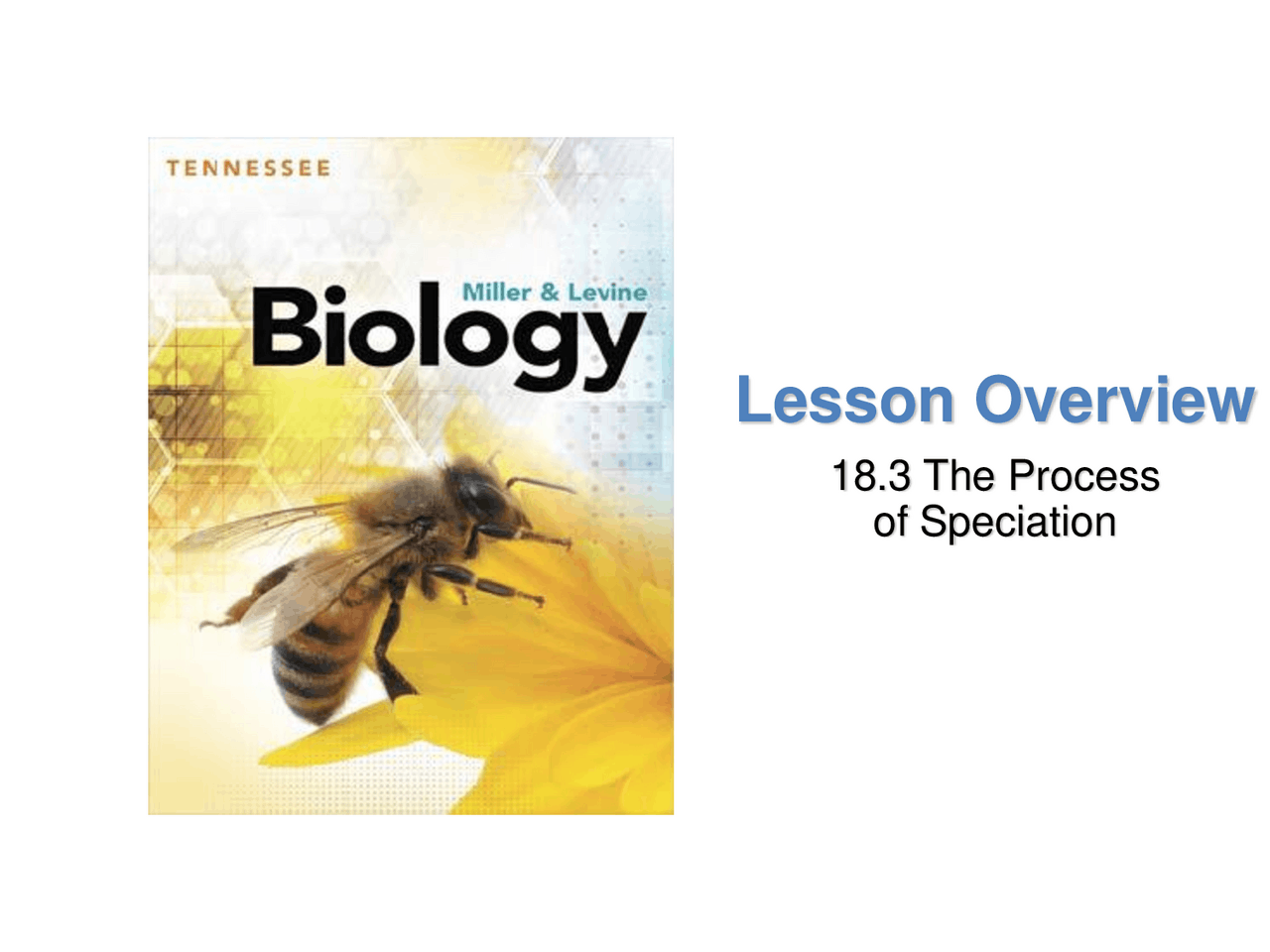 18.3 The Process of Speciation | Study notes Evolutionary biology | Docsity