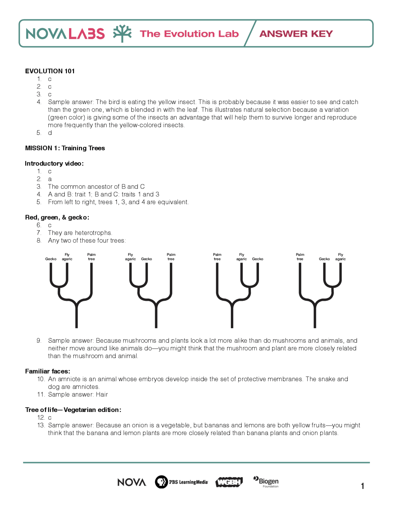 The Evolution Lab ANSWER KEY 1 | Schemes and Mind Maps Evolutionary ...