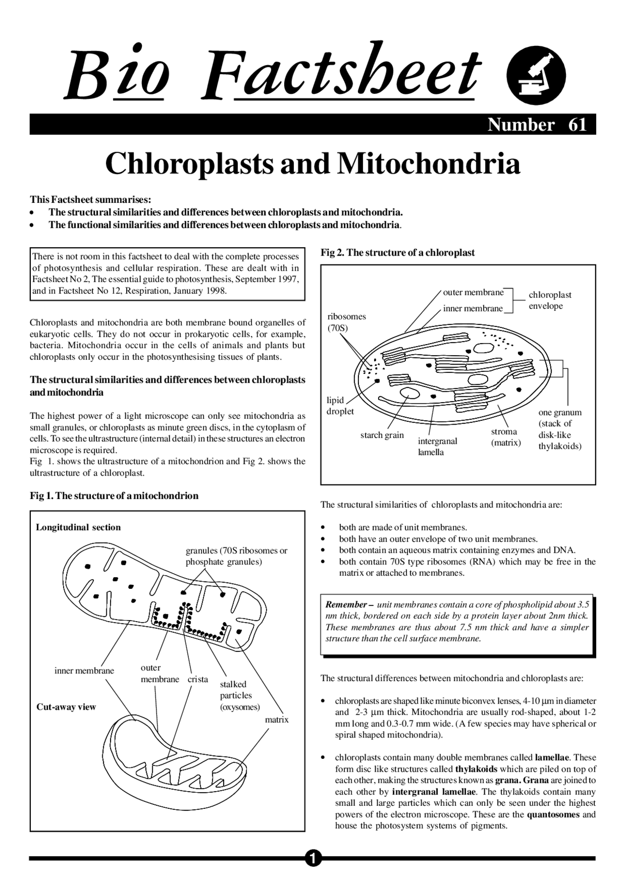 chloroplasts-and-mitochondria-pdf-exercises-physics-docsity