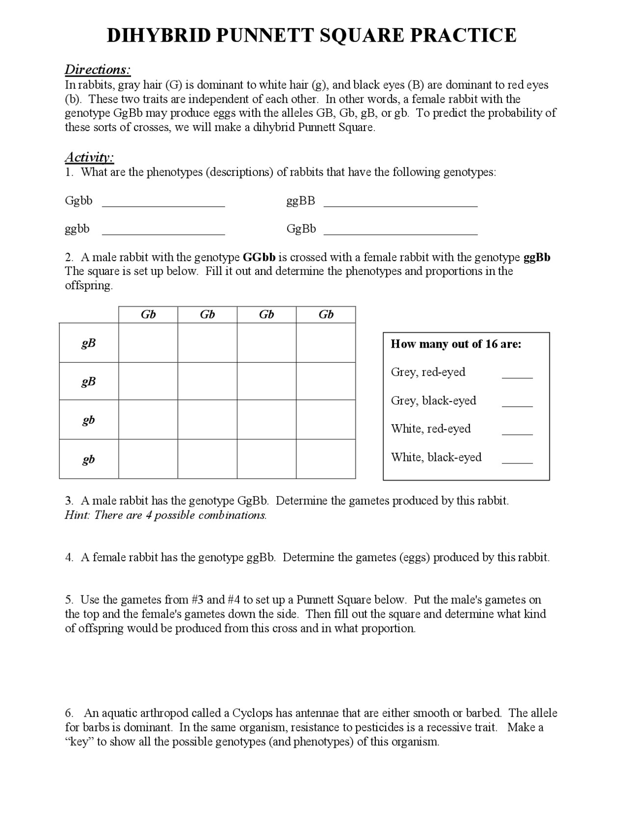 Punnett Square Dihybrid Crosses Worksheets