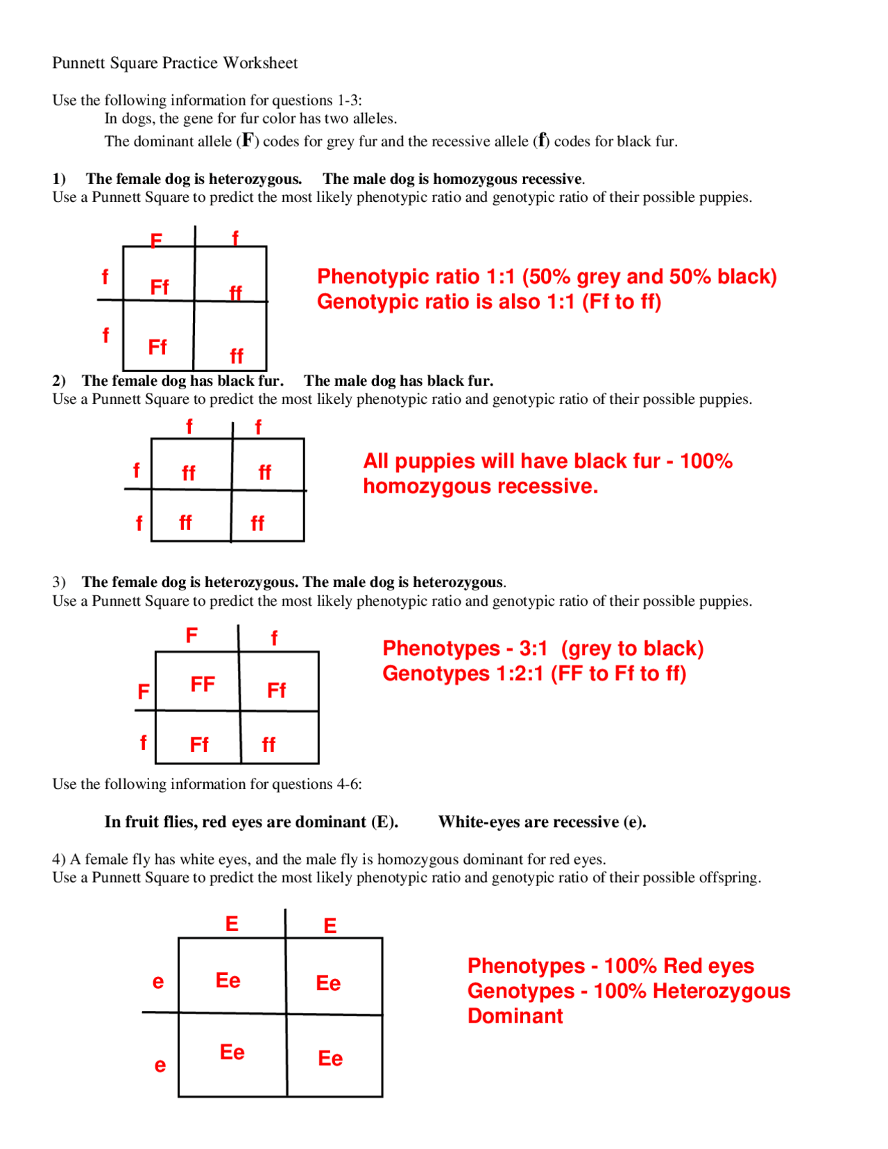 Square Practice Worksheet Study notes Docsity