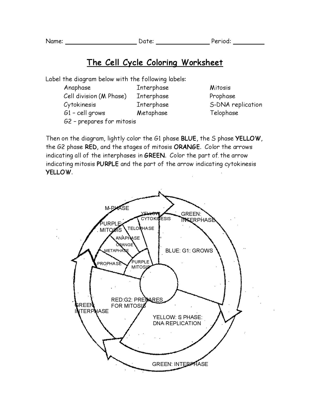 The Cell Cycle Coloring Worksheet Exercises Cell Biology Docsity the-cell-cycle-coloring-worksheet-exercises-cell-biology-docsity