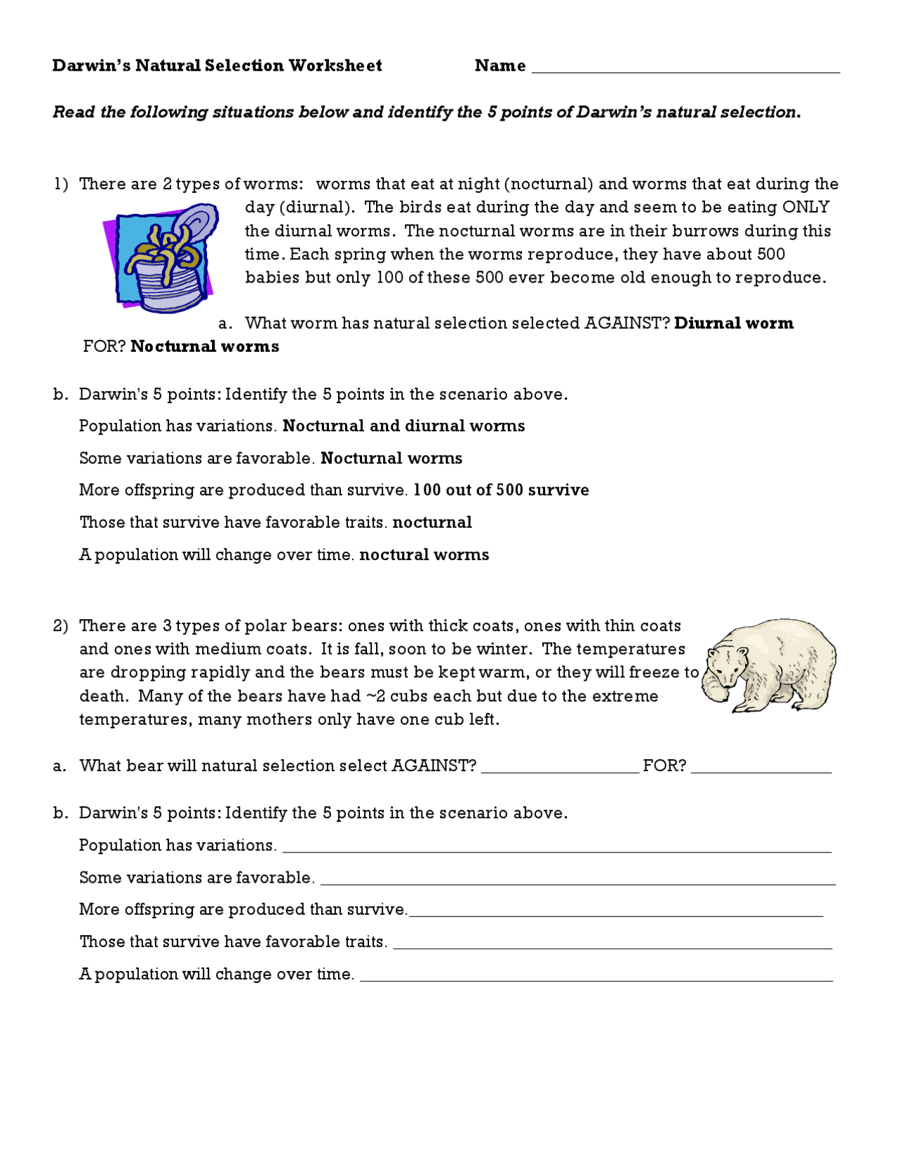 Darwin's Natural Selection Worksheet | Slides Evolutionary biology