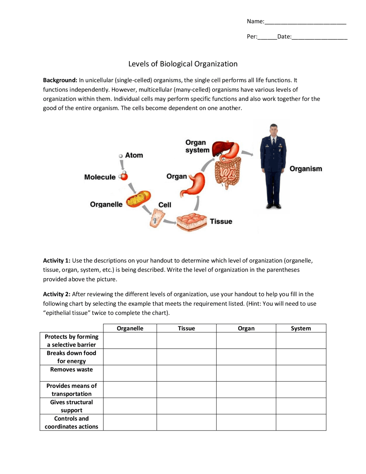 Levels of Biological Organization | Lecture notes Biological Sciences