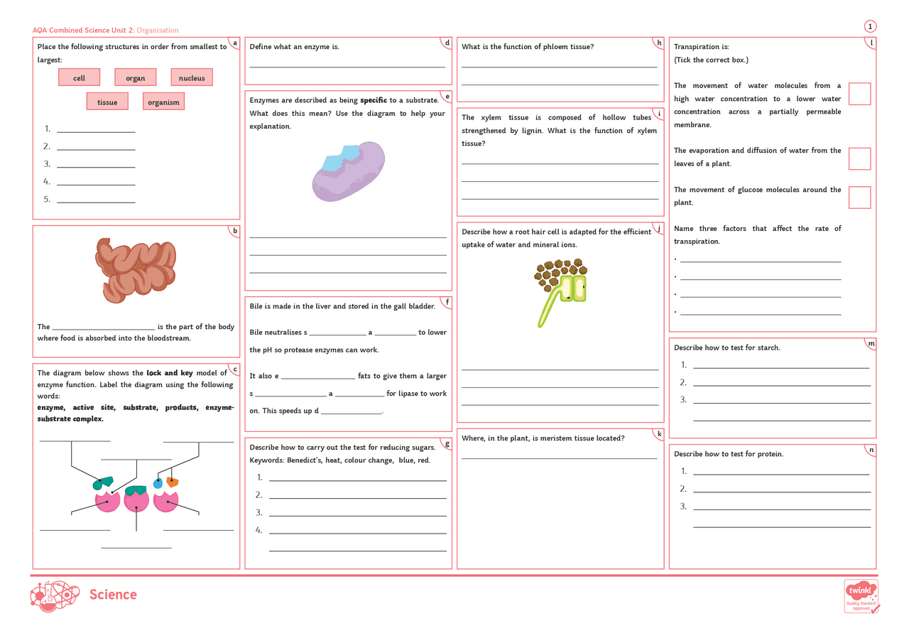 AQA Combined Science Unit 2: Organisation 1 The diagram ... | Lecture ...