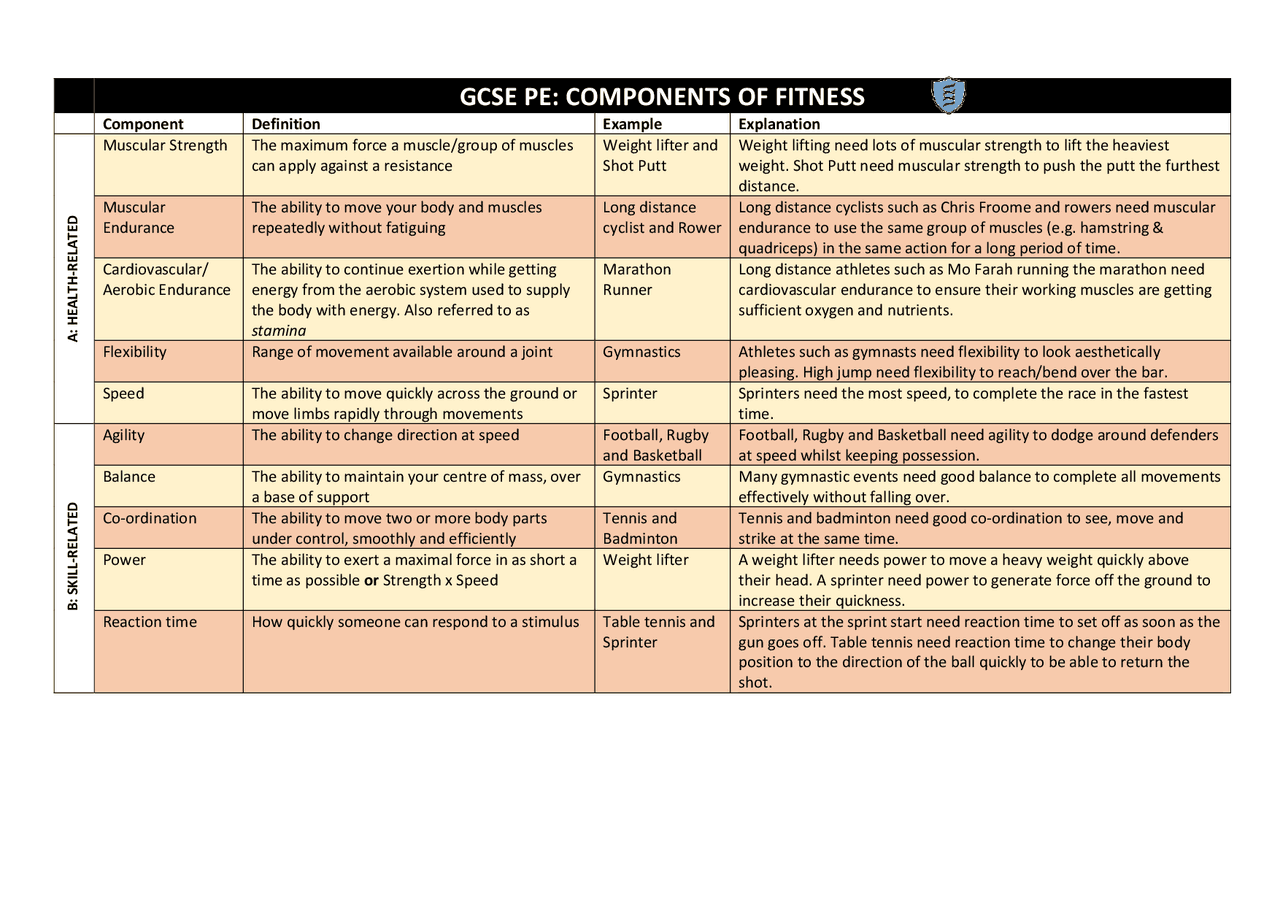 GCSE PE COMPONENTS OF FITNESS Exams Sport Studies Docsity gcse-pe-components-of-fitness-exams-sport-studies-docsity