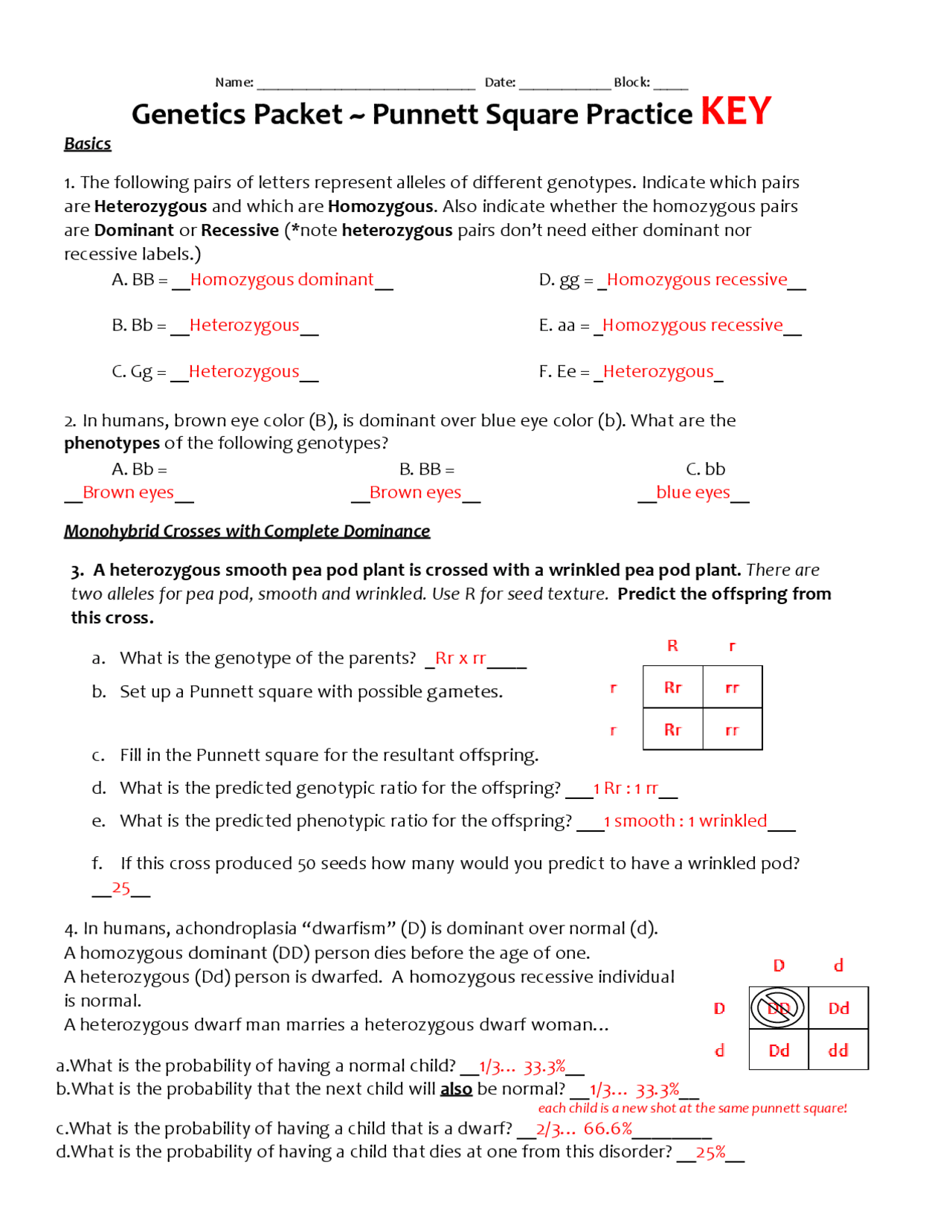 Genetics Packet Punnett Square Practice KEY Lecture Notes Genetics genetics-packet-punnett-square-practice-key-lecture-notes-genetics