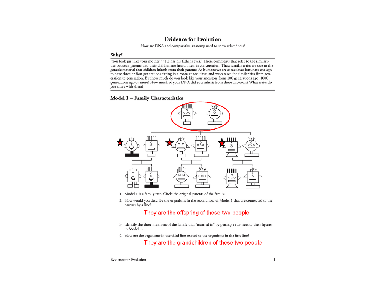 POGIL Evidence for Evolution ANSWER SHEET.pdf | Schemes and Mind Maps  Evolutionary biology | Docsity