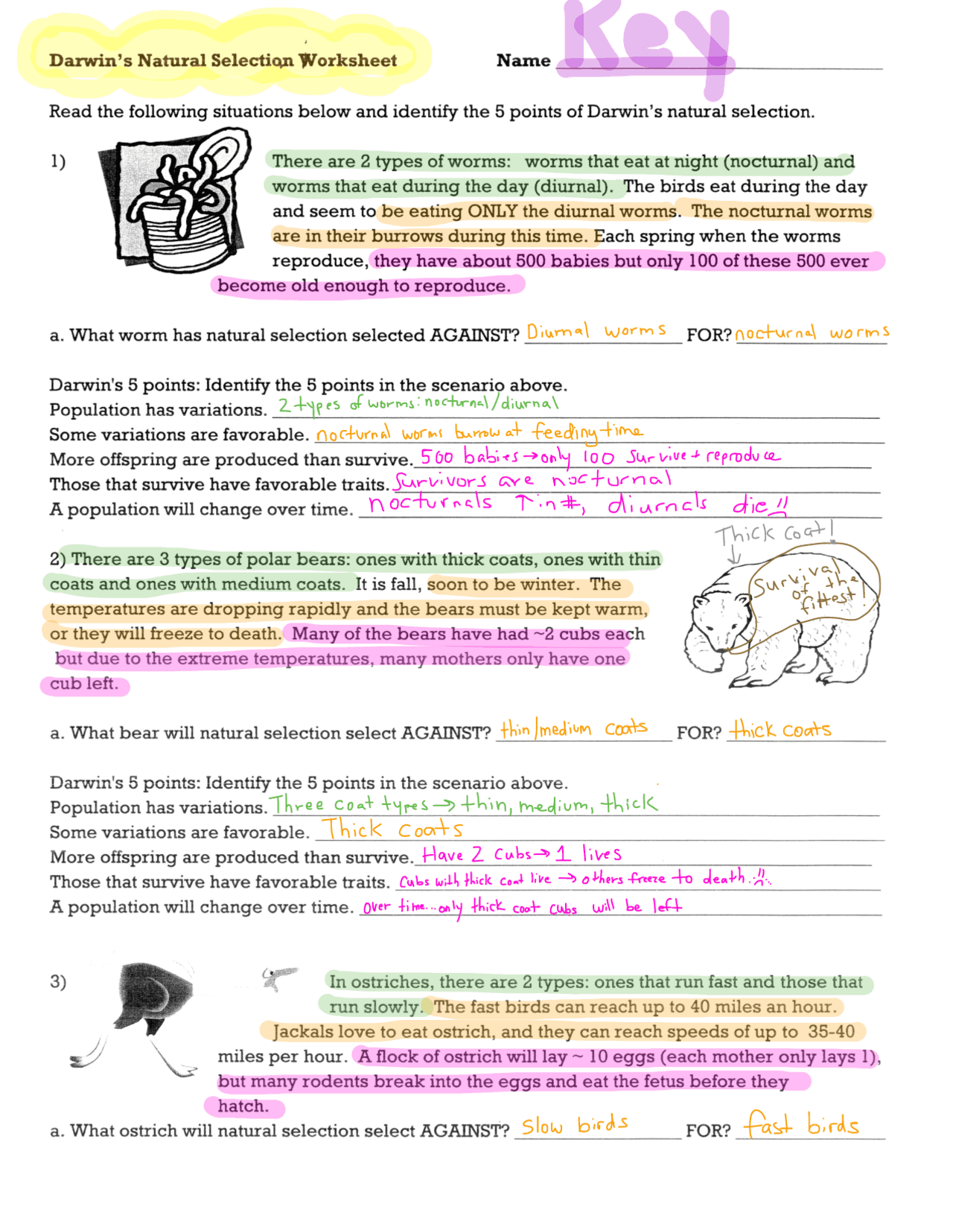Identify the 5 points in the scenario above. | Esquemas y ...