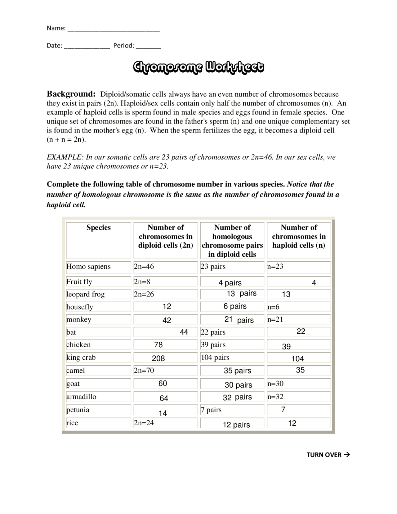 Chromosome Worksheet | Lecture notes Biology | Docsity Chromosome Worksheet | Lecture notes Biology | Docsity