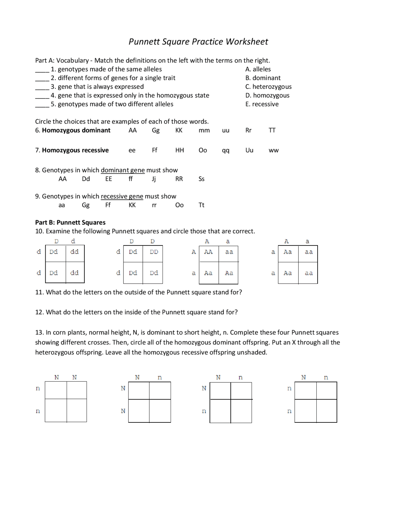 Punnett Square Practice Worksheet Summaries Genetics Docsity punnett-square-practice-worksheet-summaries-genetics-docsity