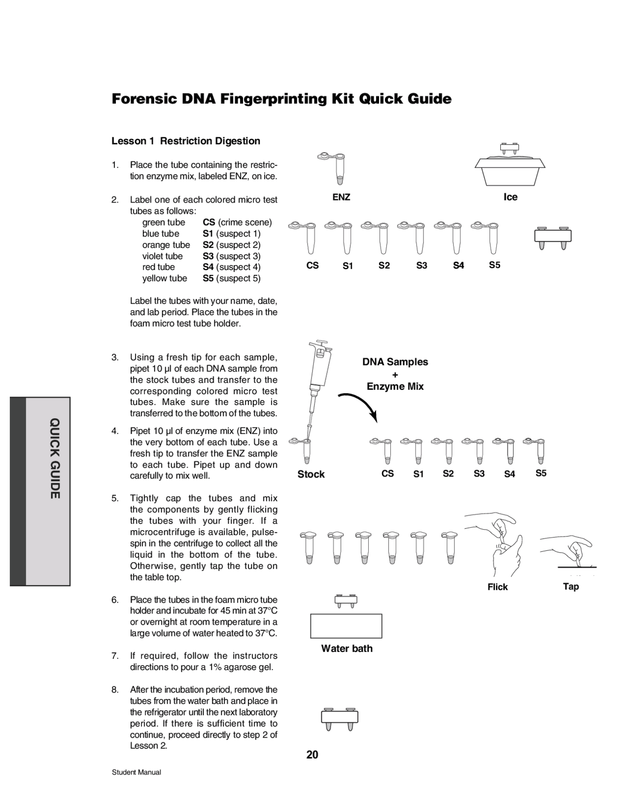 Forensic DNA Fingerprinting Kit Quick Guide Exercises Docsity