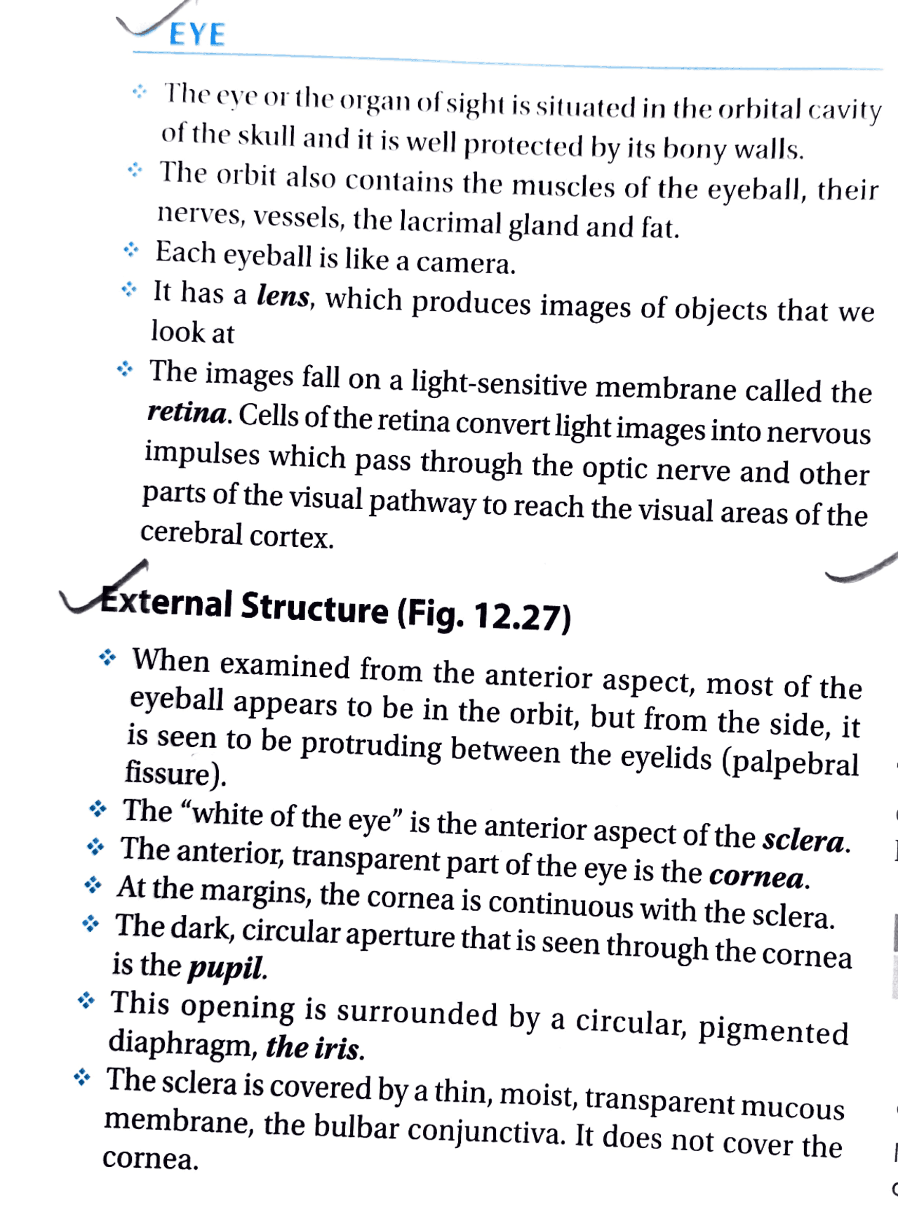 Vision Structures What is human eye, colour vision, structure etc | High school final ...