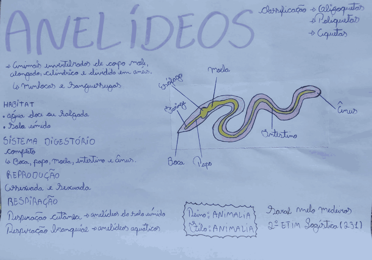 Anelídeos (Mapa Mental) | Esquemas Biologia - Docsity