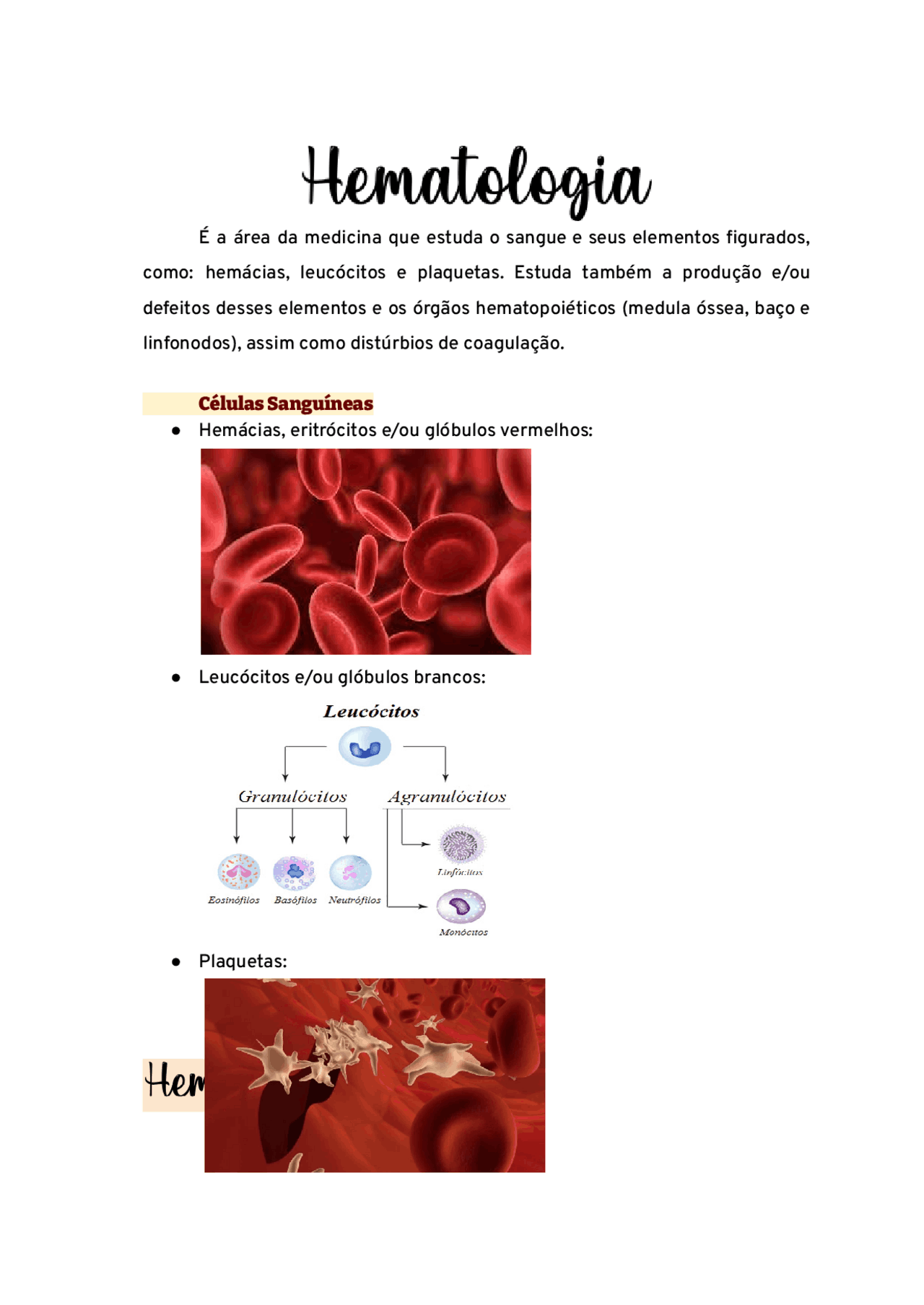 Resumos sobre hematologia Notas de estudo Hematologia Docsity