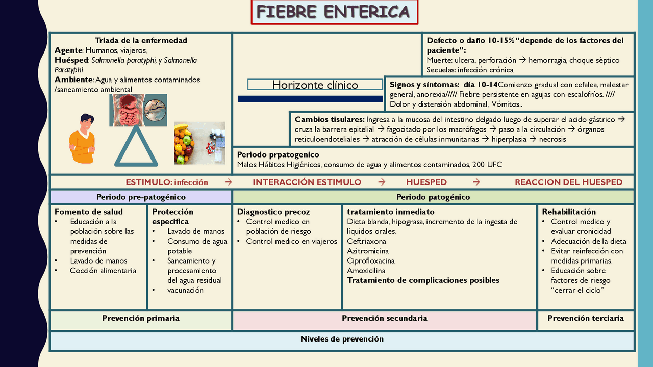 Historia natural de la enfermedad: FIEBRE ENTERICA/TIFOIDEA | Esquemas