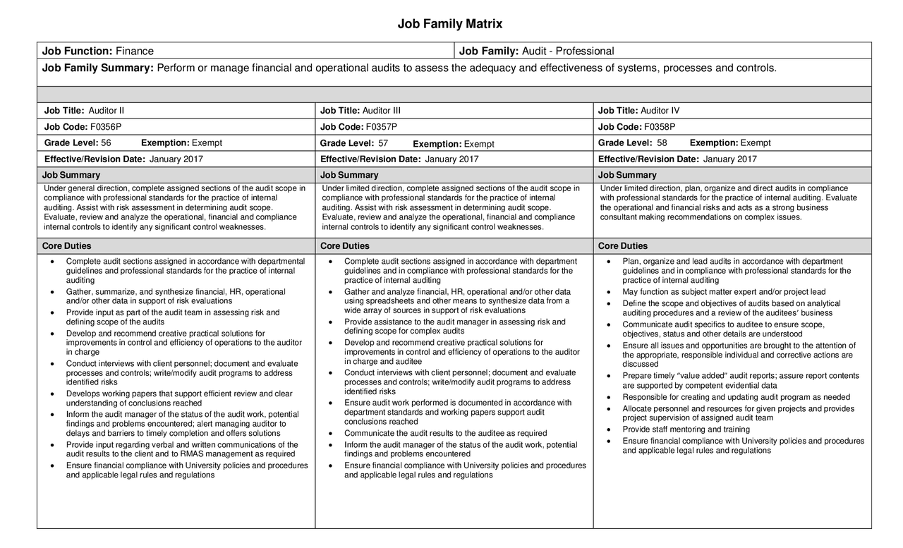 Job Family Matrix | Study notes Auditing - Docsity