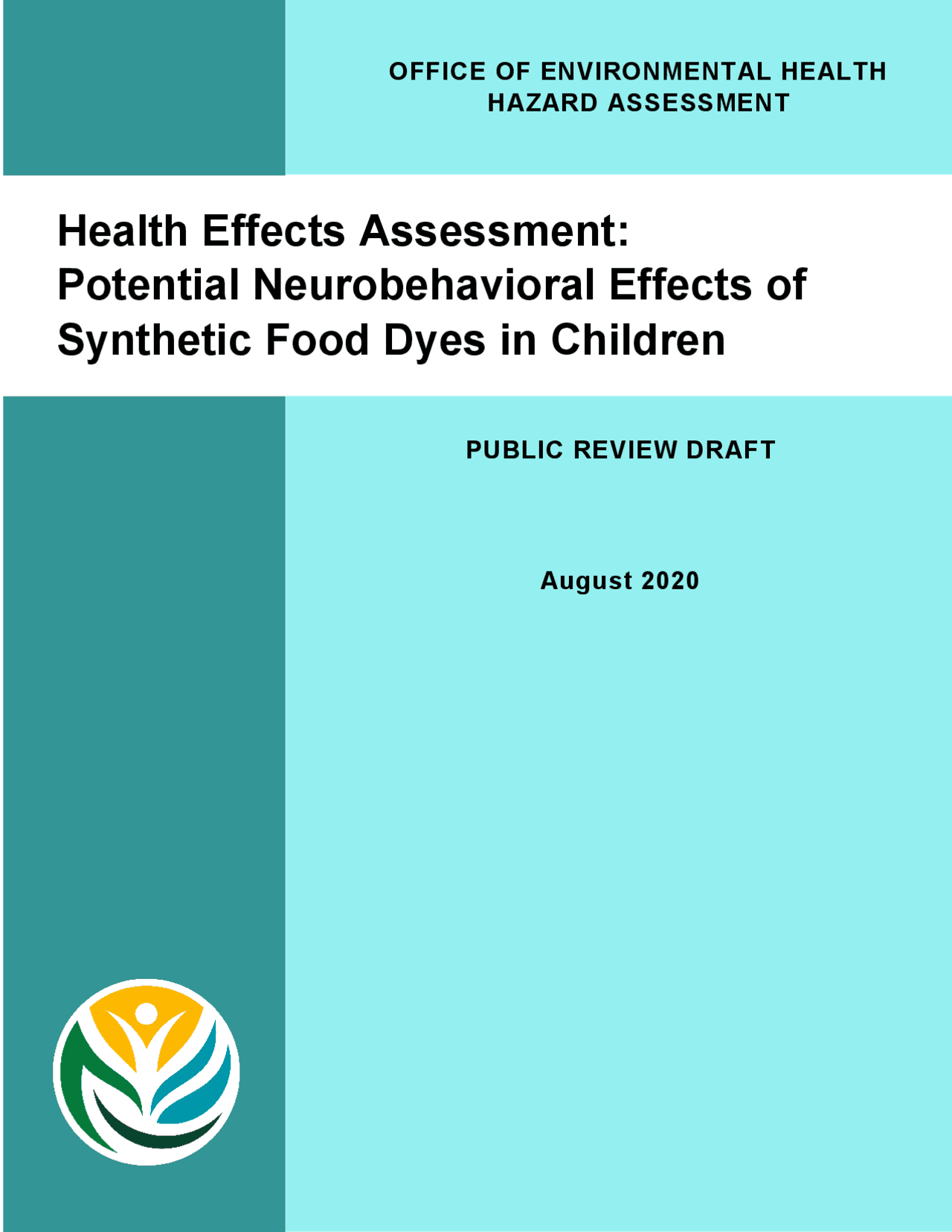 Food Dyes Health Effects Assessment Schemes and Mind Maps Design