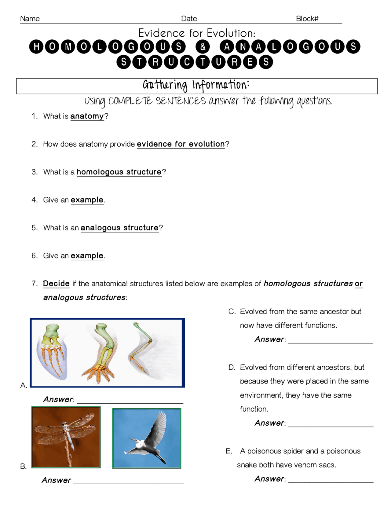 Homologous & Analogous Structures | Lecture notes Anatomy | Docsity