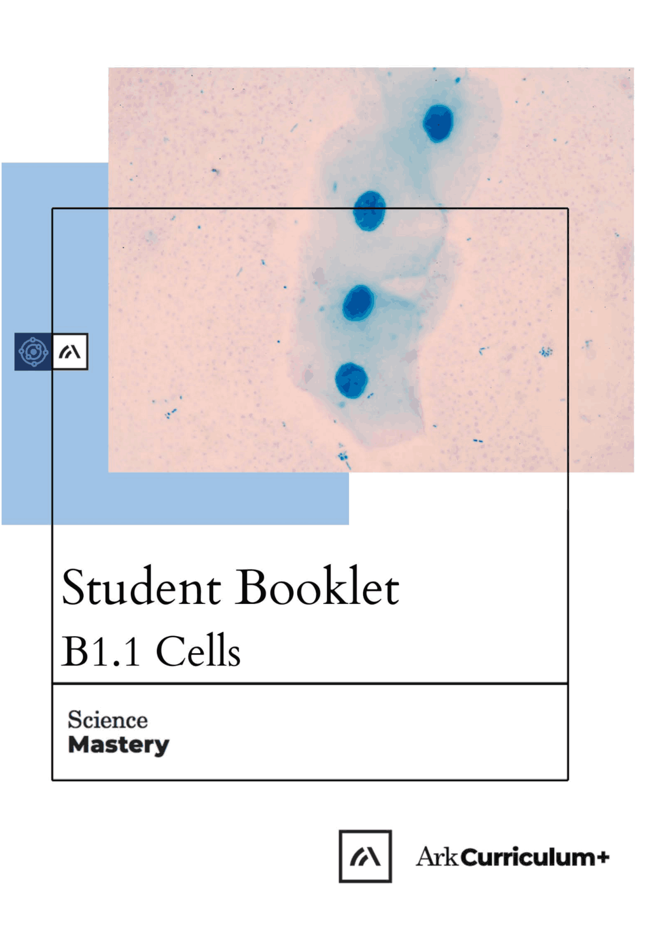 Year 7 Science Bio Jan 2021.pdf | Study notes Nutrition | Docsity