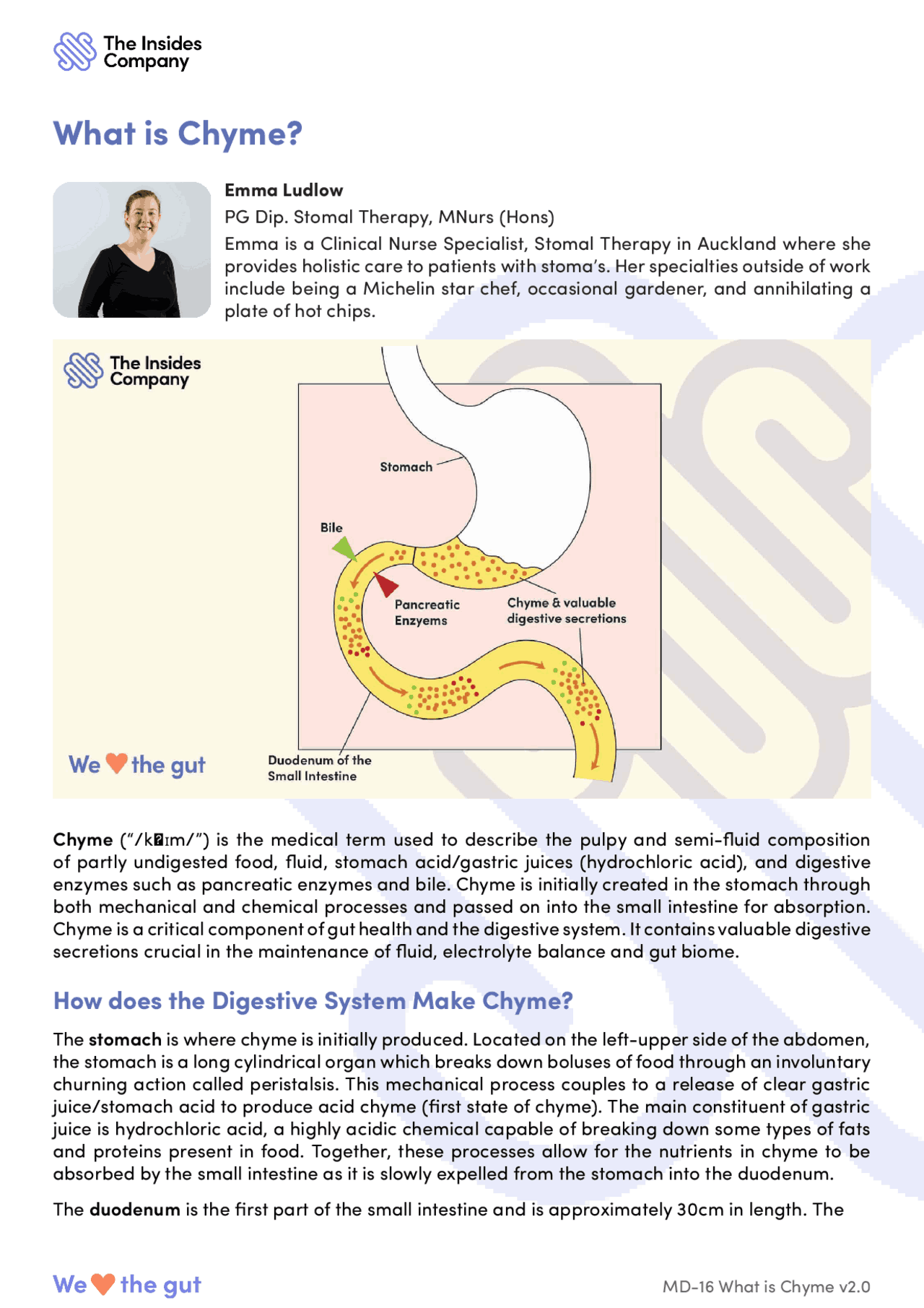 What is Chyme? | Study notes Chemical Processes | Docsity