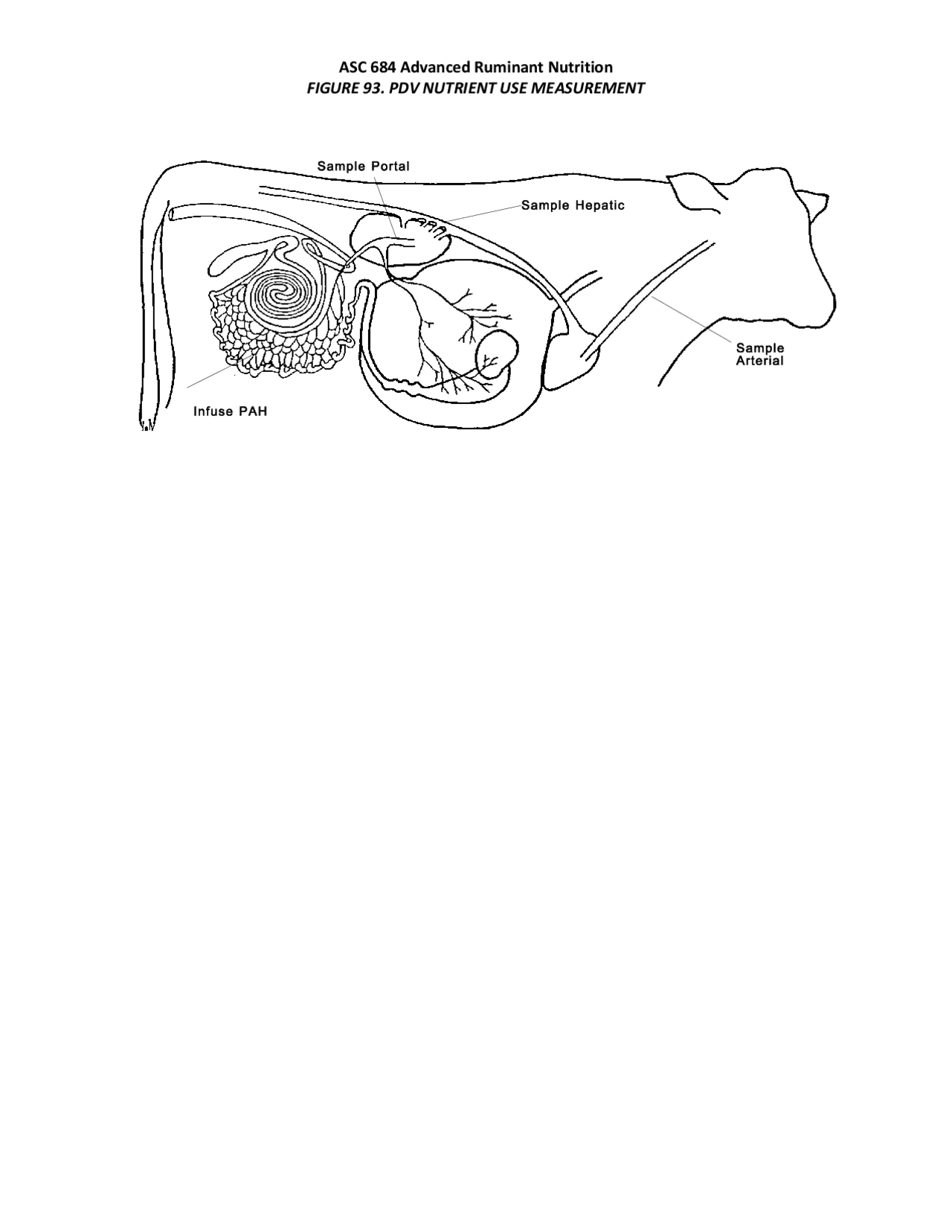 ASC 684 Advanced Ruminant Nutrition FIGURE 93. PDV ... | Lecture notes ...
