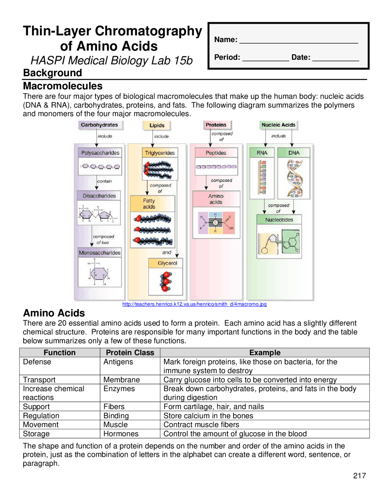 ThinLayer Chromatography of Amino Acids Lecture notes Biology Docsity