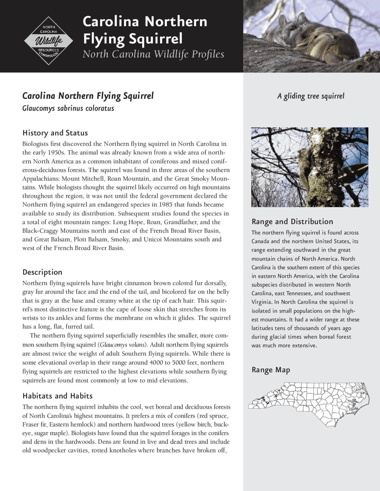 Carolina northern flying squirrel exercises french docsity