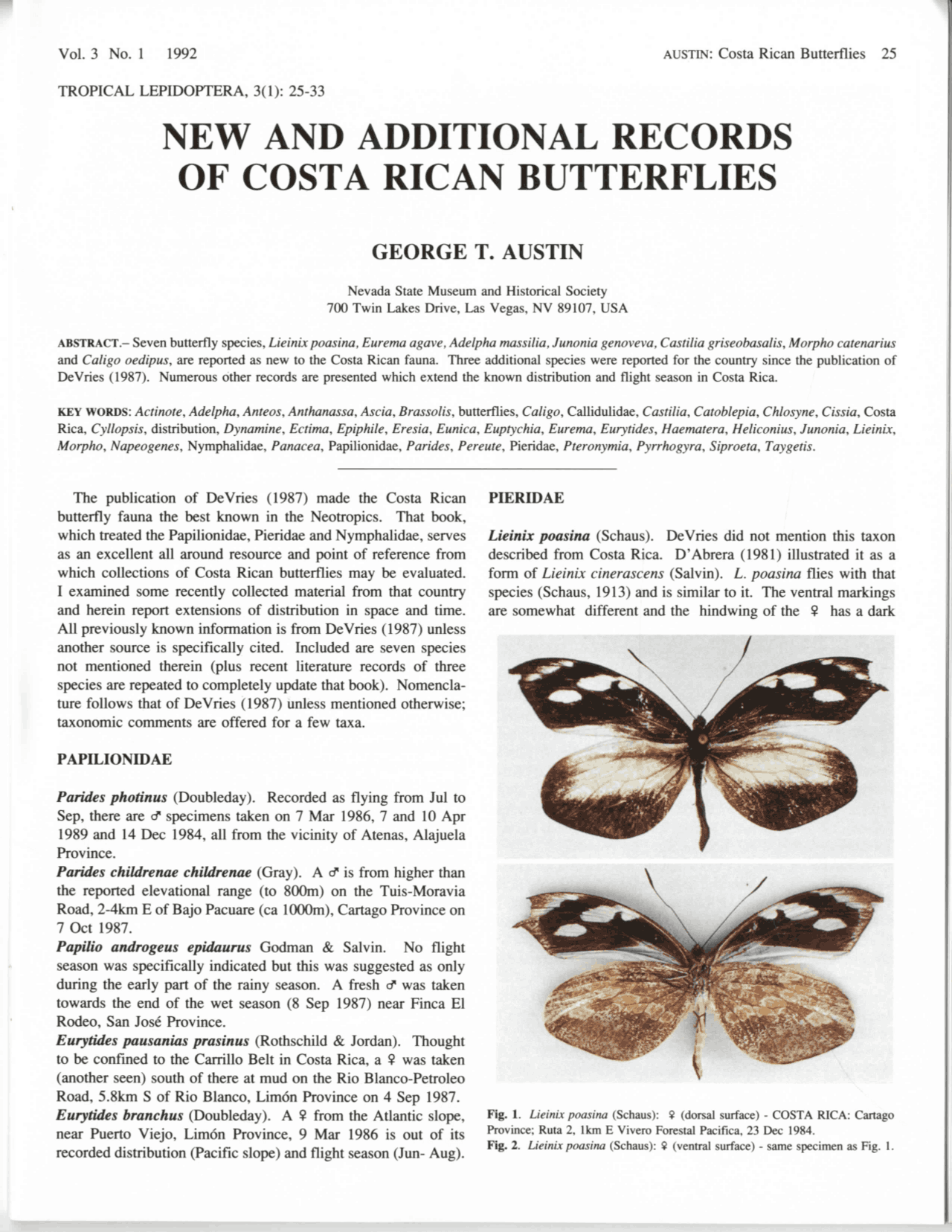 Butterfly Specimens Collected in Costa Rica: Alajuela, Limon, and San ...