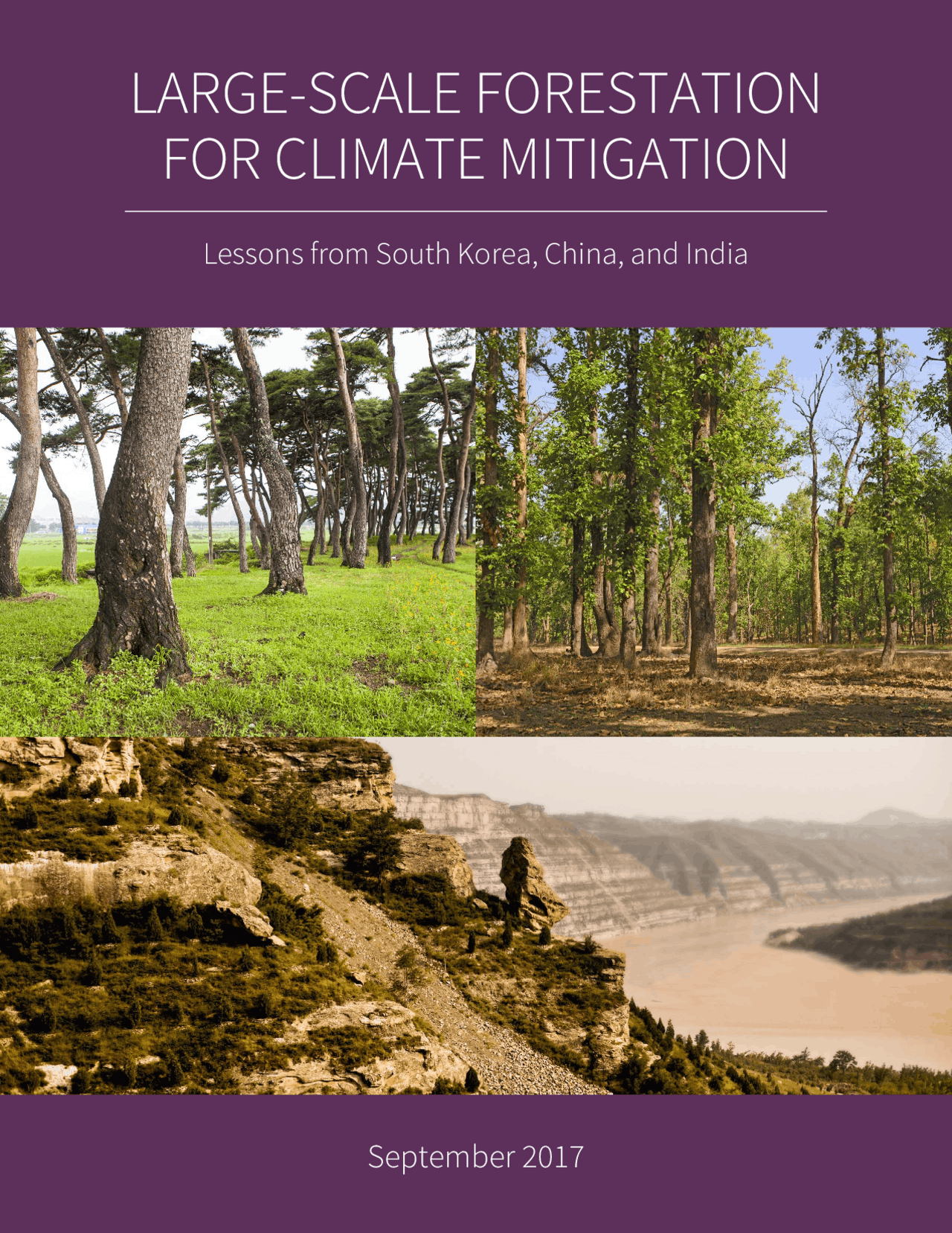 Trangular Forestation LARGE-SCALE FORESTATION FOR CLIMATE MITIGATION | Study Guides, Projects ...