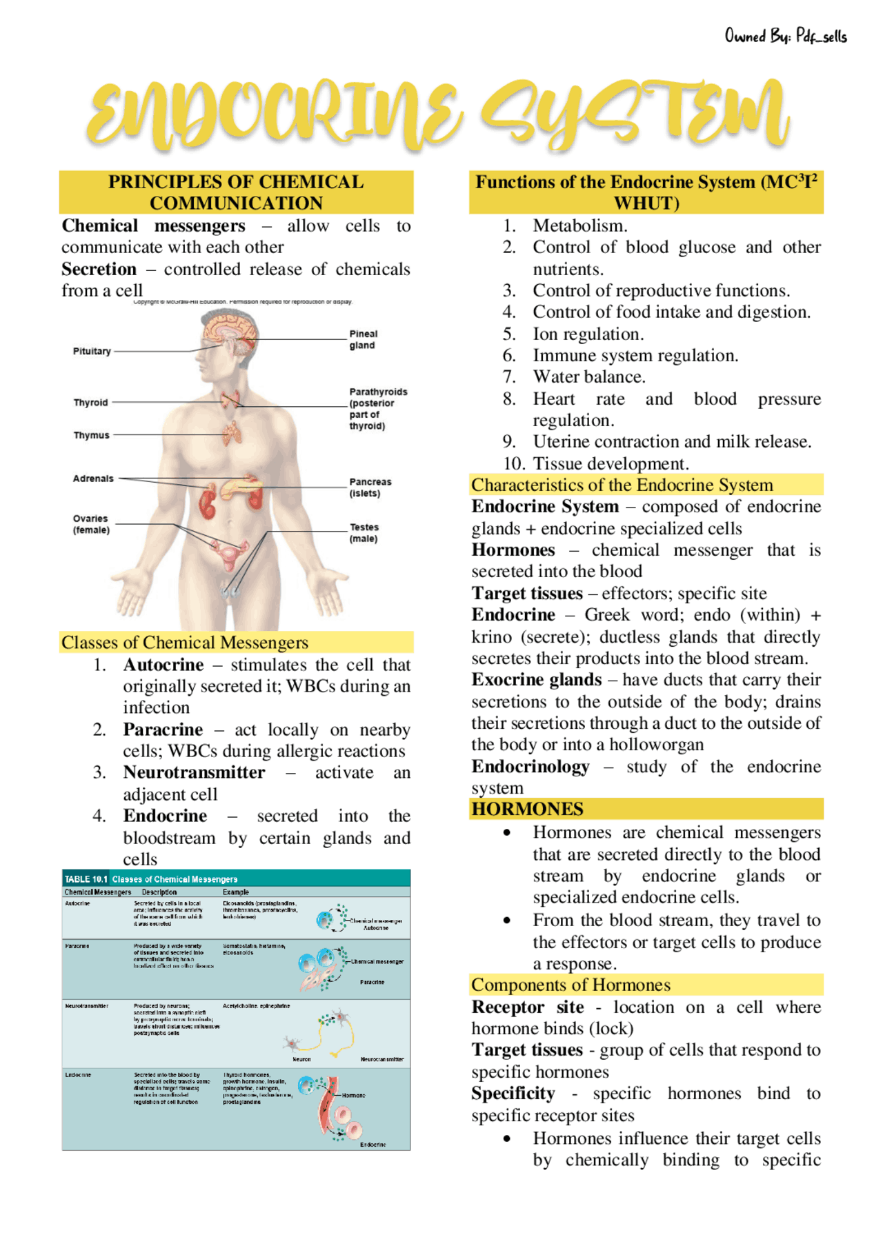 THE ENDOCRINE SYSTEM | Schemes and Mind Maps Anatomy | Docsity