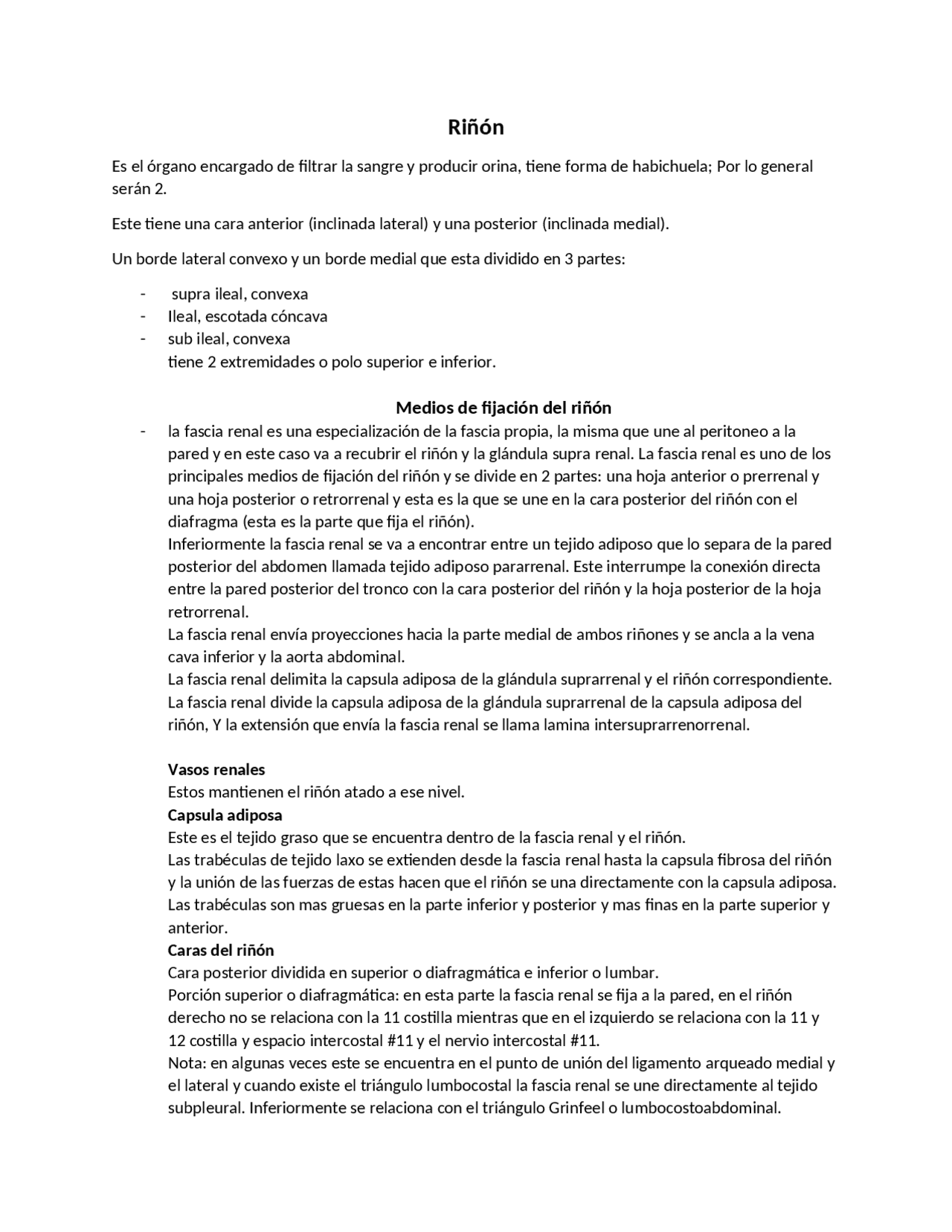 Anatomía del Riñón según Rouviere | Apuntes de Anatomía | Docsity