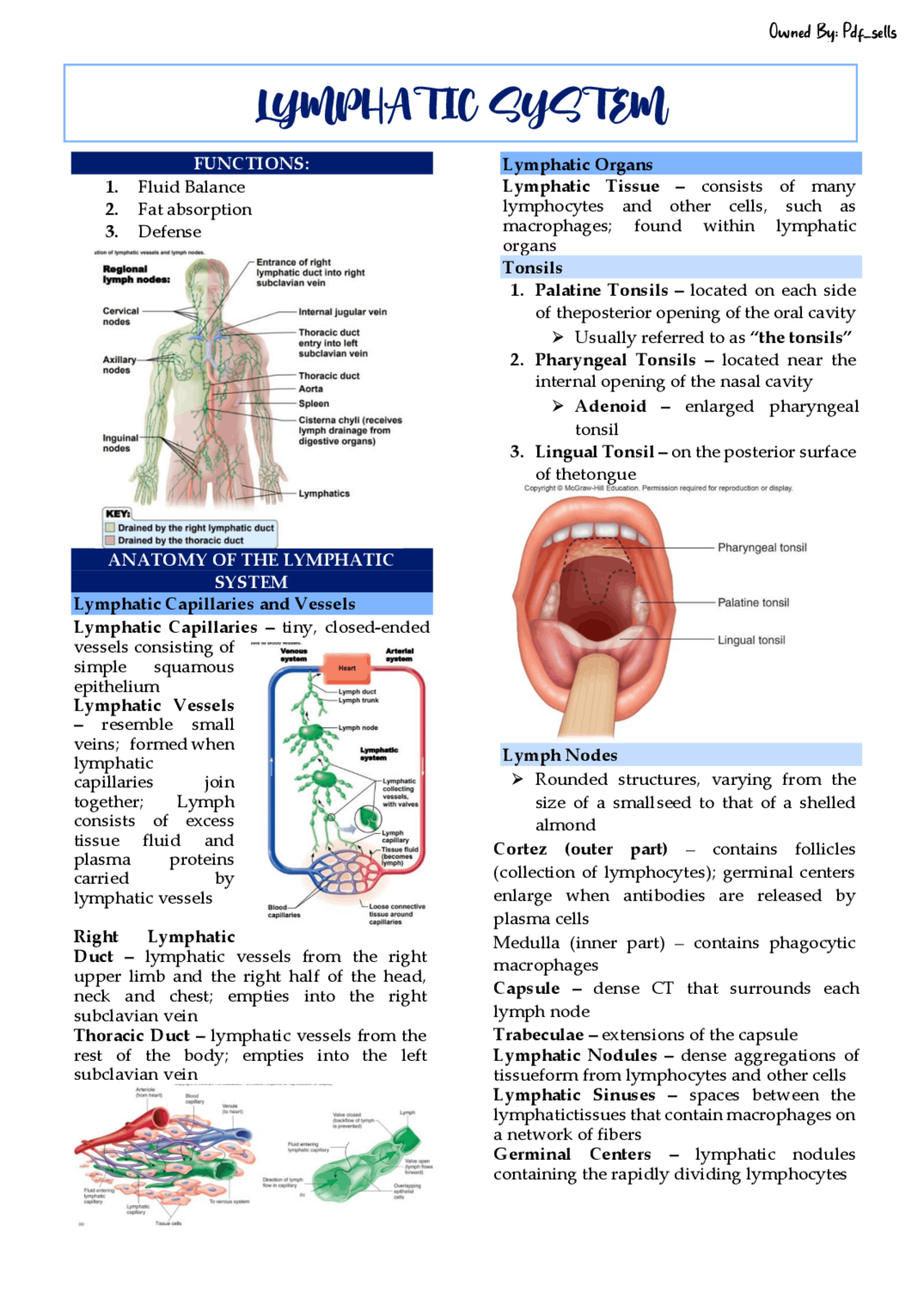 LYMPHATIC SYSTEM LYMPHATIC SYSTEM | Cheat Sheet Anatomy | Docsity