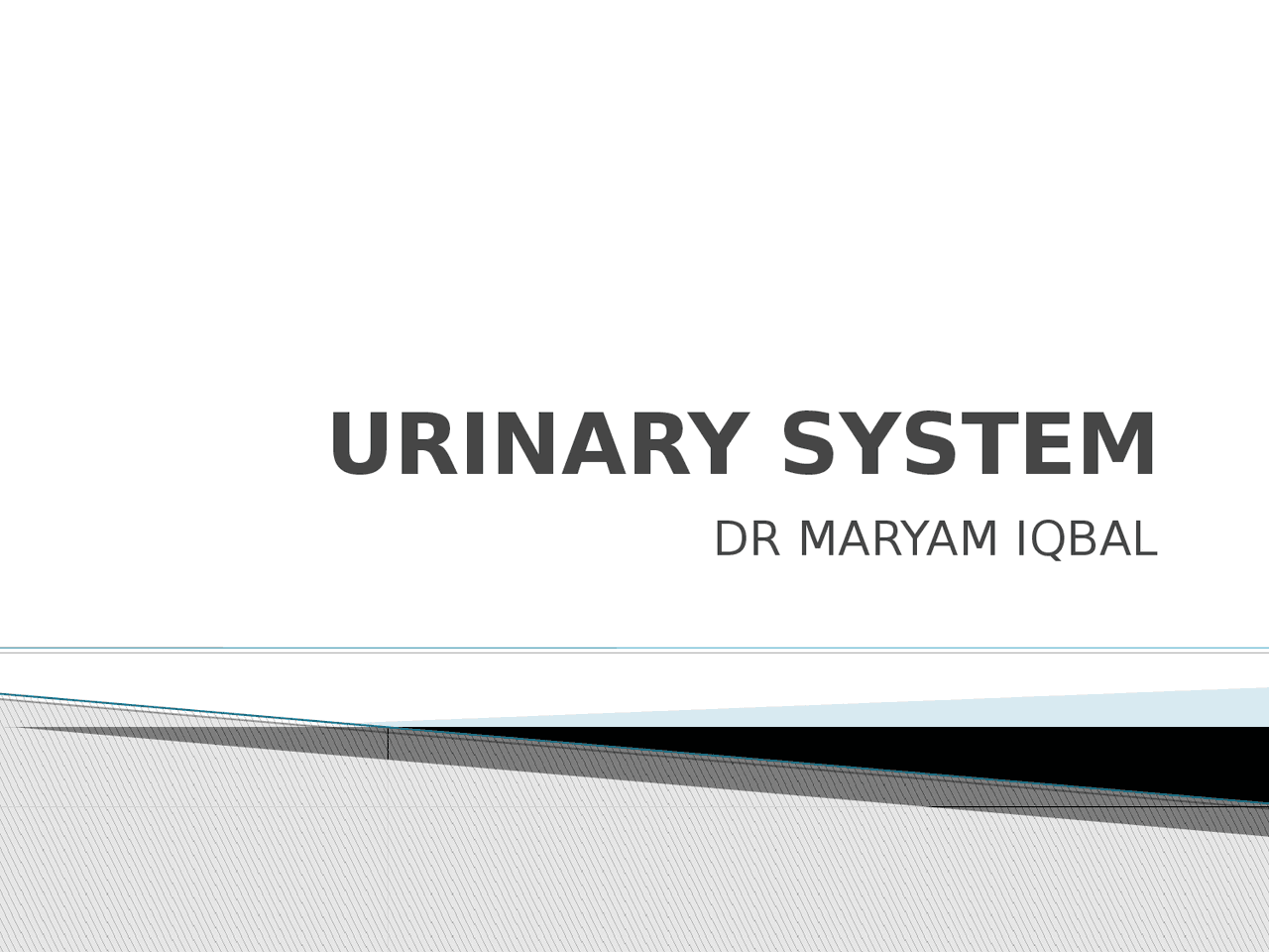 EXPLAIN THE STRUCTURE AND FUNCTION OF THE URINARY SYSTEM visual data 8