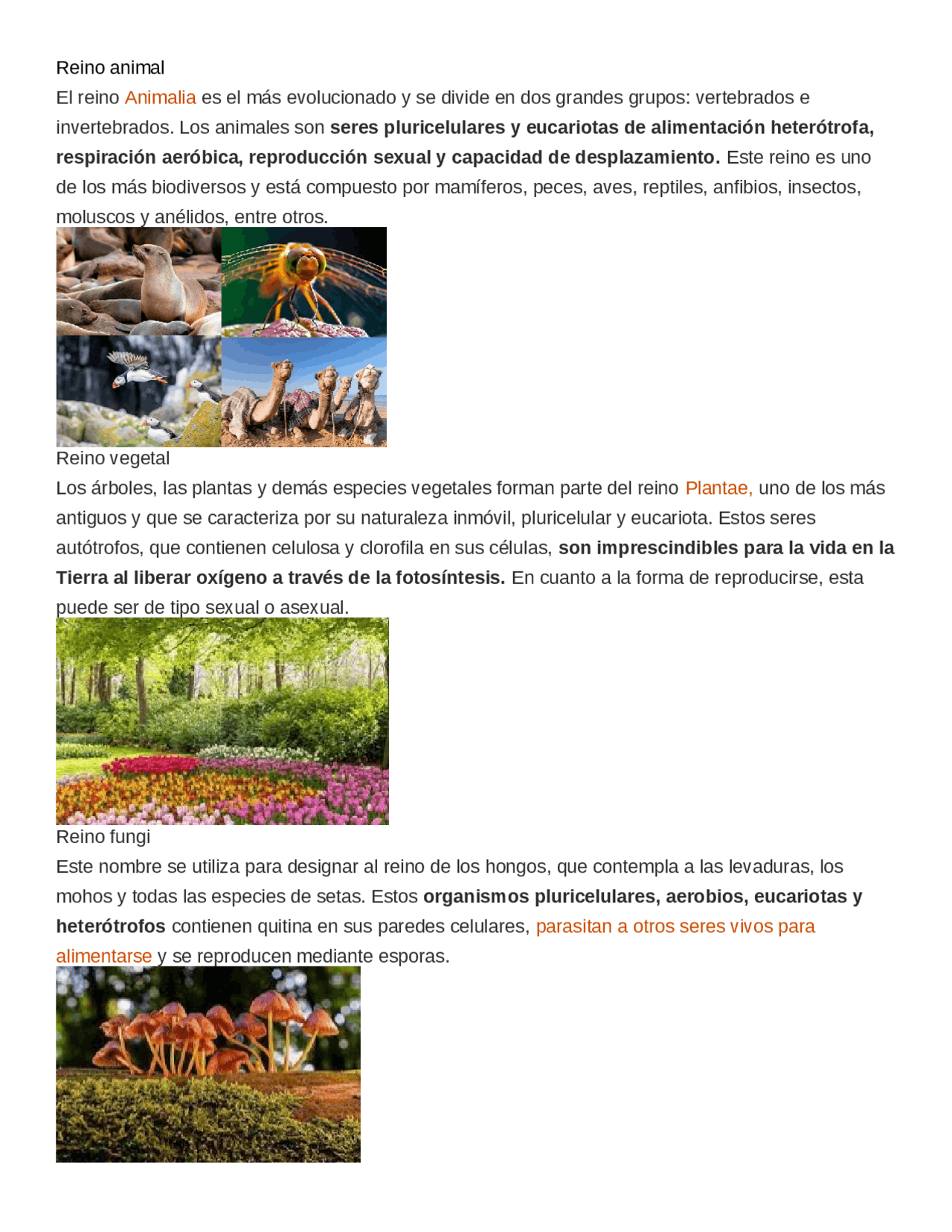 Reinos animal, vegetal, protista hongo monera | Resúmenes de Biología |  Docsity