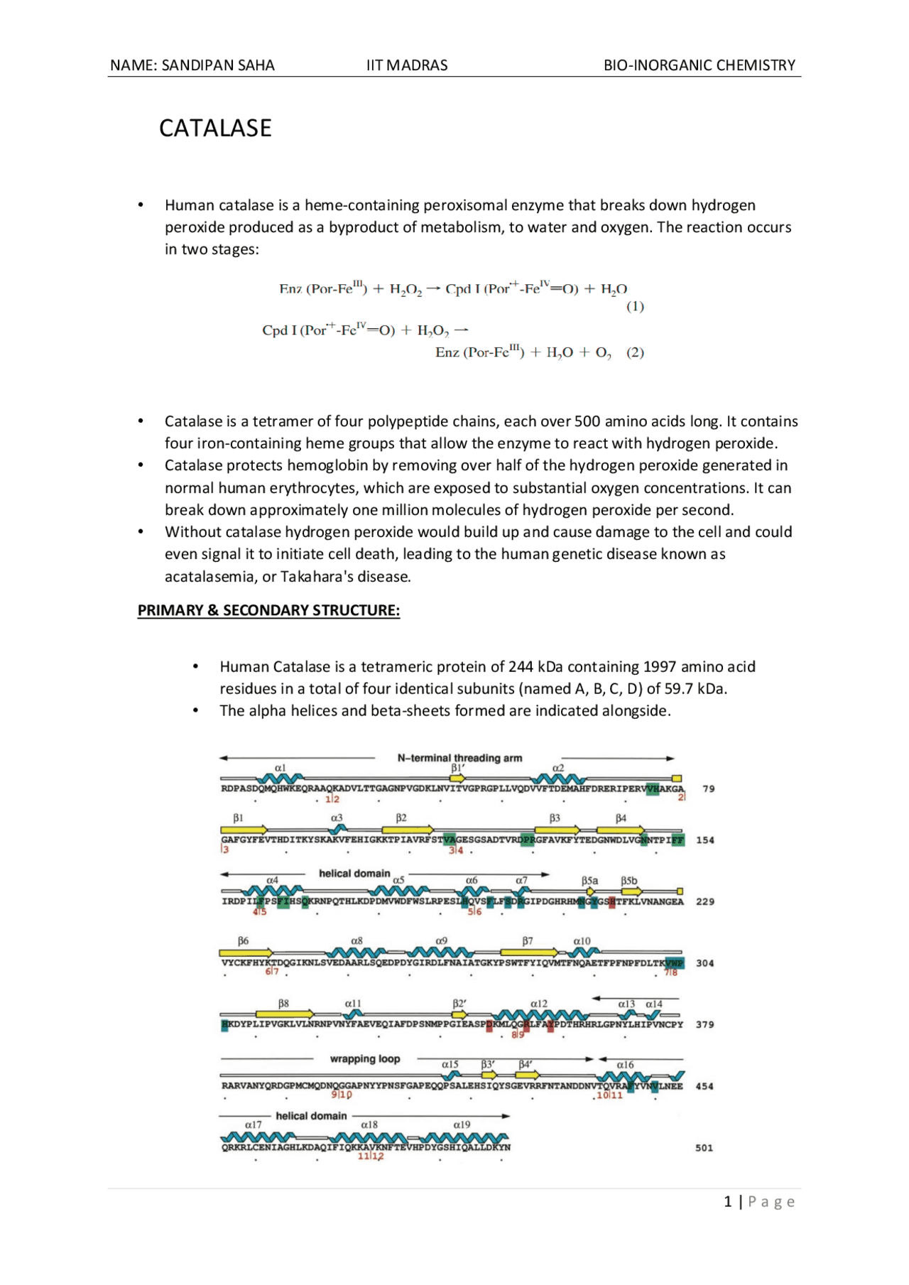 using caterease | pdf Images High Quality Grahic Human Catalase Enzyme | Study notes Biochemistry | Docsity