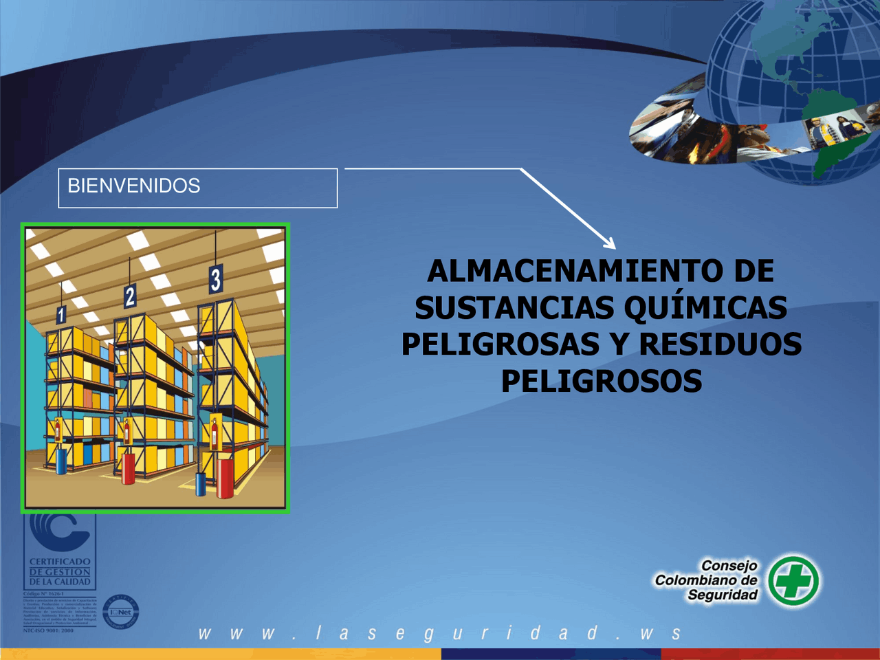 Normas de Seguridad para el Almacenamiento de Sustancias Químicas ...