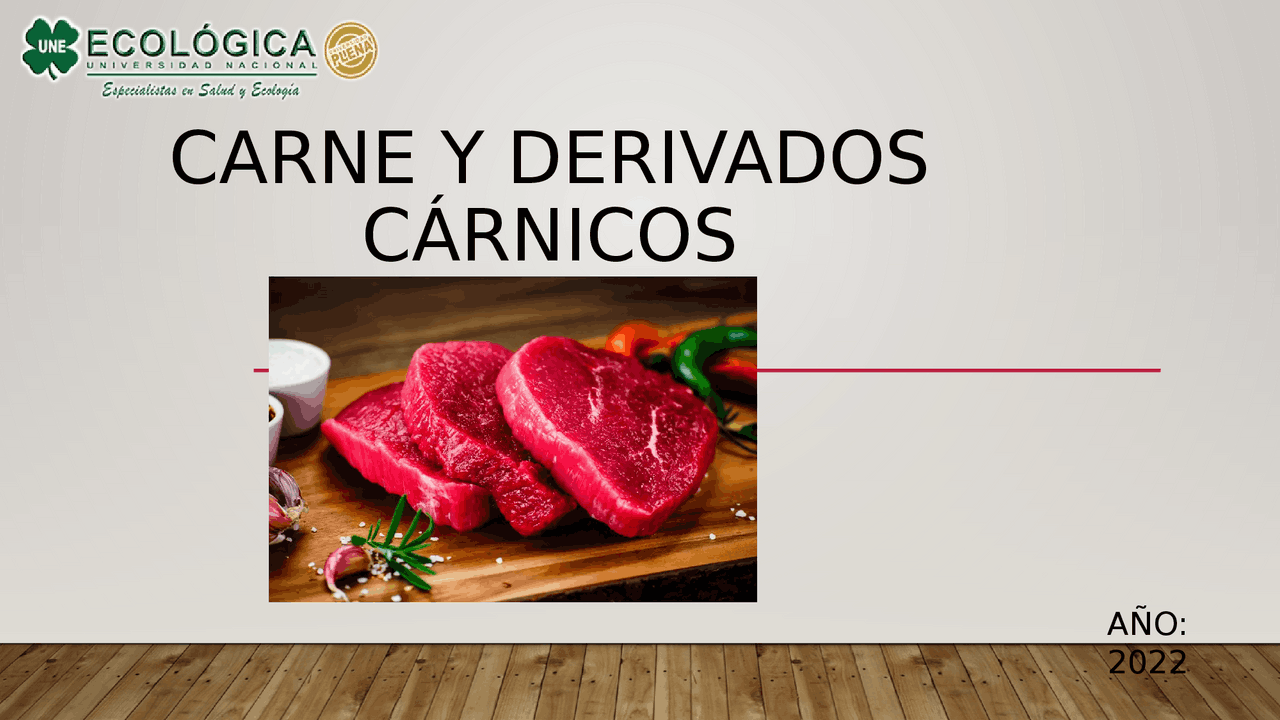 Carne y sus derivados carnicos | Diapositivas de Industria y Comercio