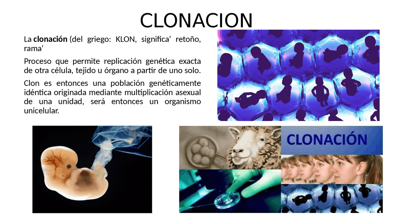 La clonacion y su historia Diapositivas de Biología Docsity