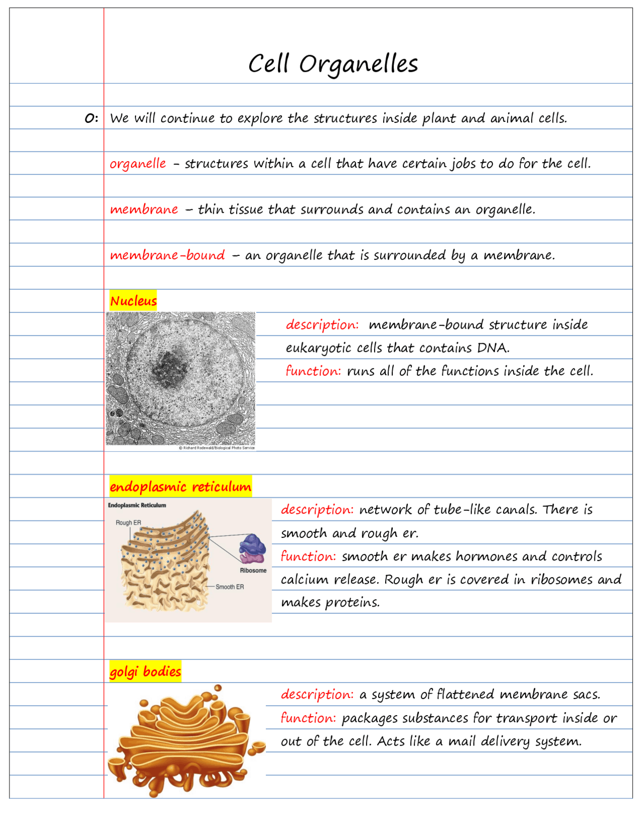 Cell Organelles | Study notes Cell Biology | Docsity