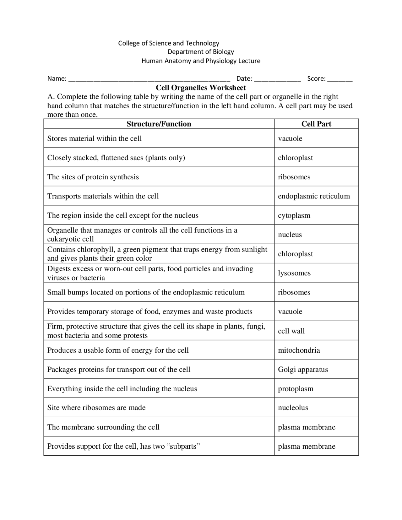 The Cell Worksheet Assignment | Assignments Anatomy | Docsity