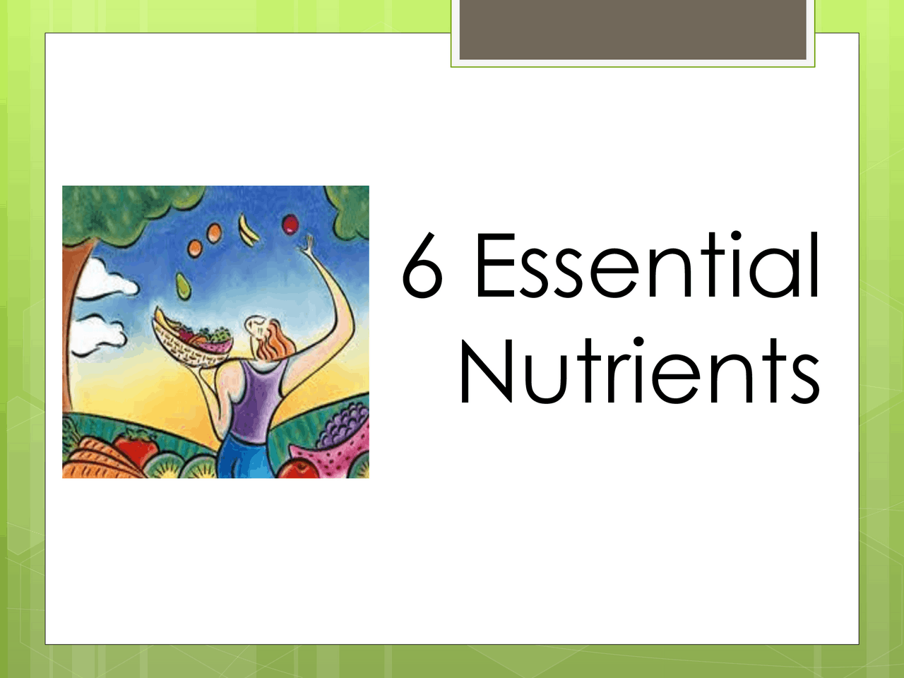 Nutrients Lesson 6 Essential Nutrients | Study notes Nutrition | Docsity