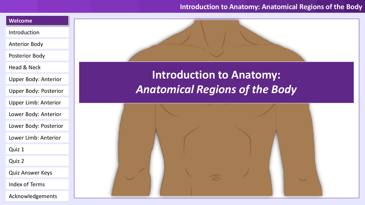 Anatomical Regions Of The Body Quiz At Michiko Durbin Blog Anatomical regions of the body quiz at michiko durbin blog