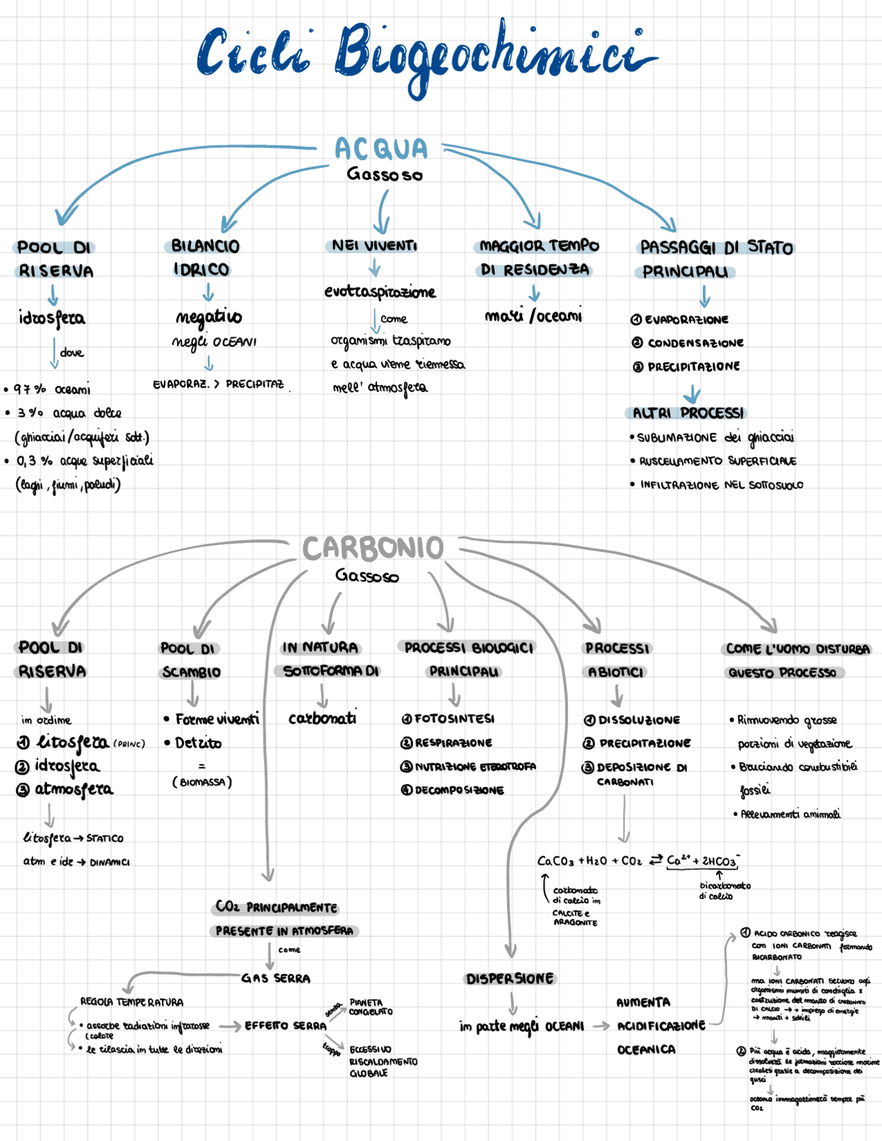 Cicli Biogeochimici ECOLOGIA | Schemi e mappe concettuali di Ecologia ...
