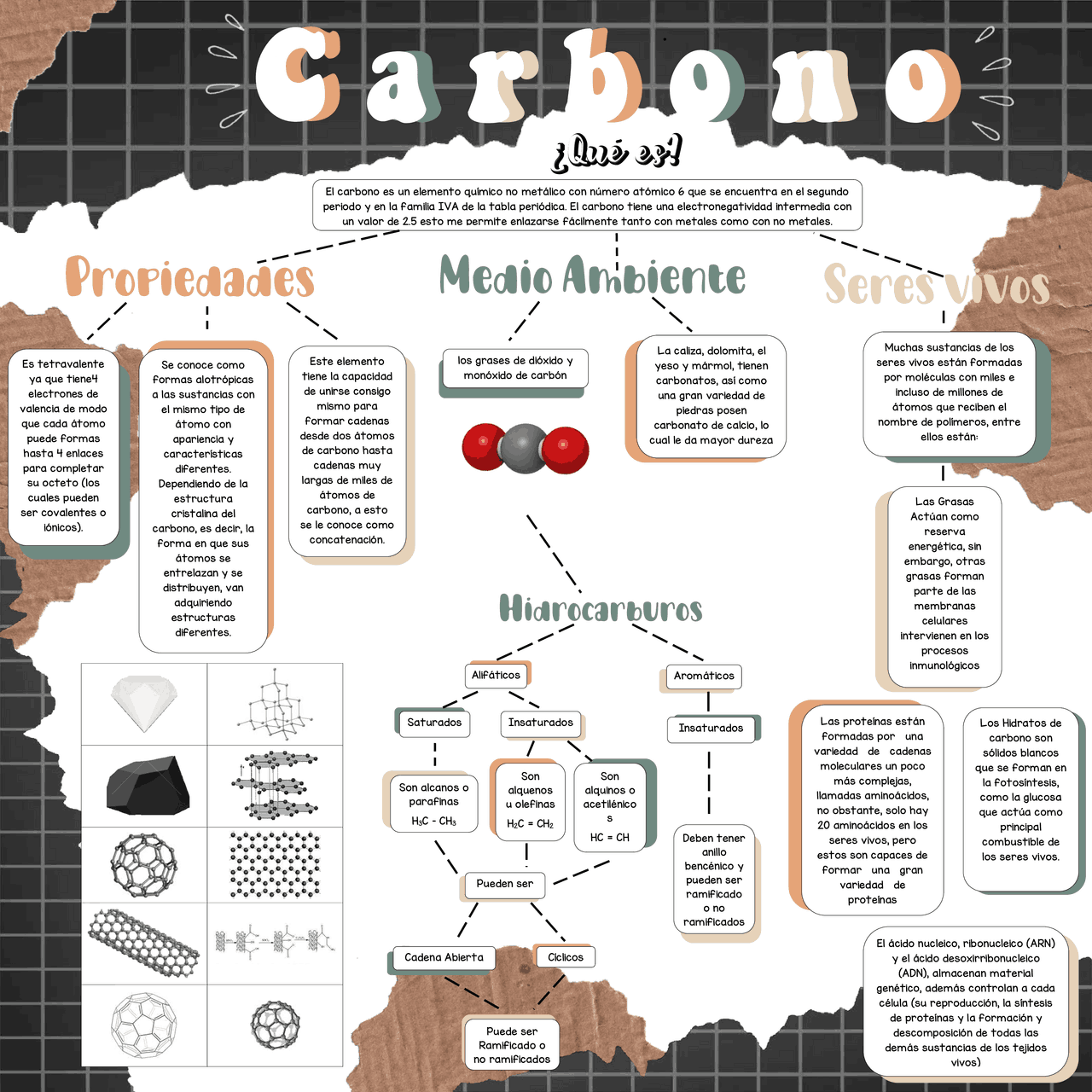 10.2: Otras Formas De Carbono : FICHA DE DATOS DE SEGURIDAD – RAVSBK
