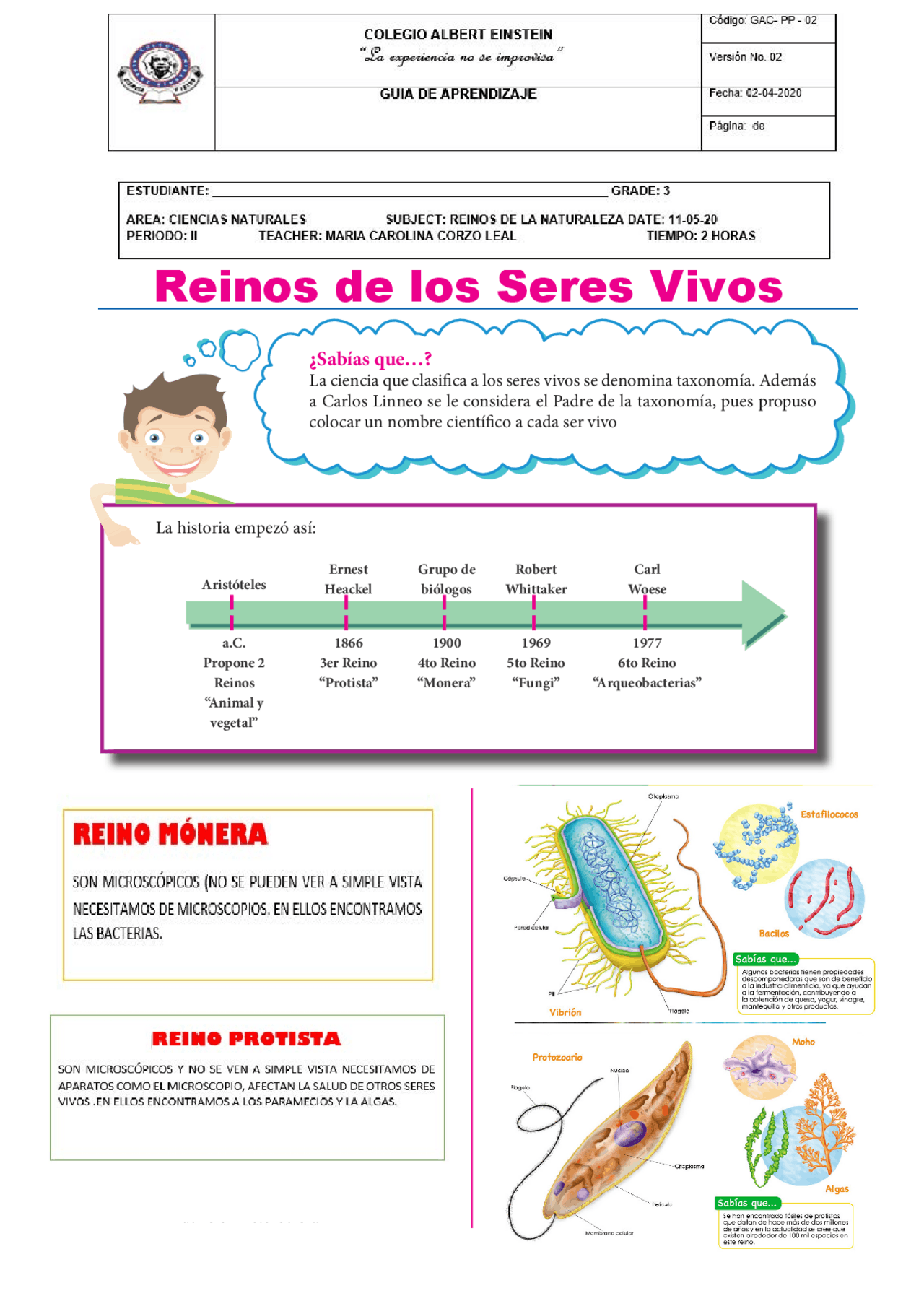 Taxonomía: Clasificación de los Seres Vivos - Ejercicios y Preguntas |  Resúmenes de Nutrición | Docsity