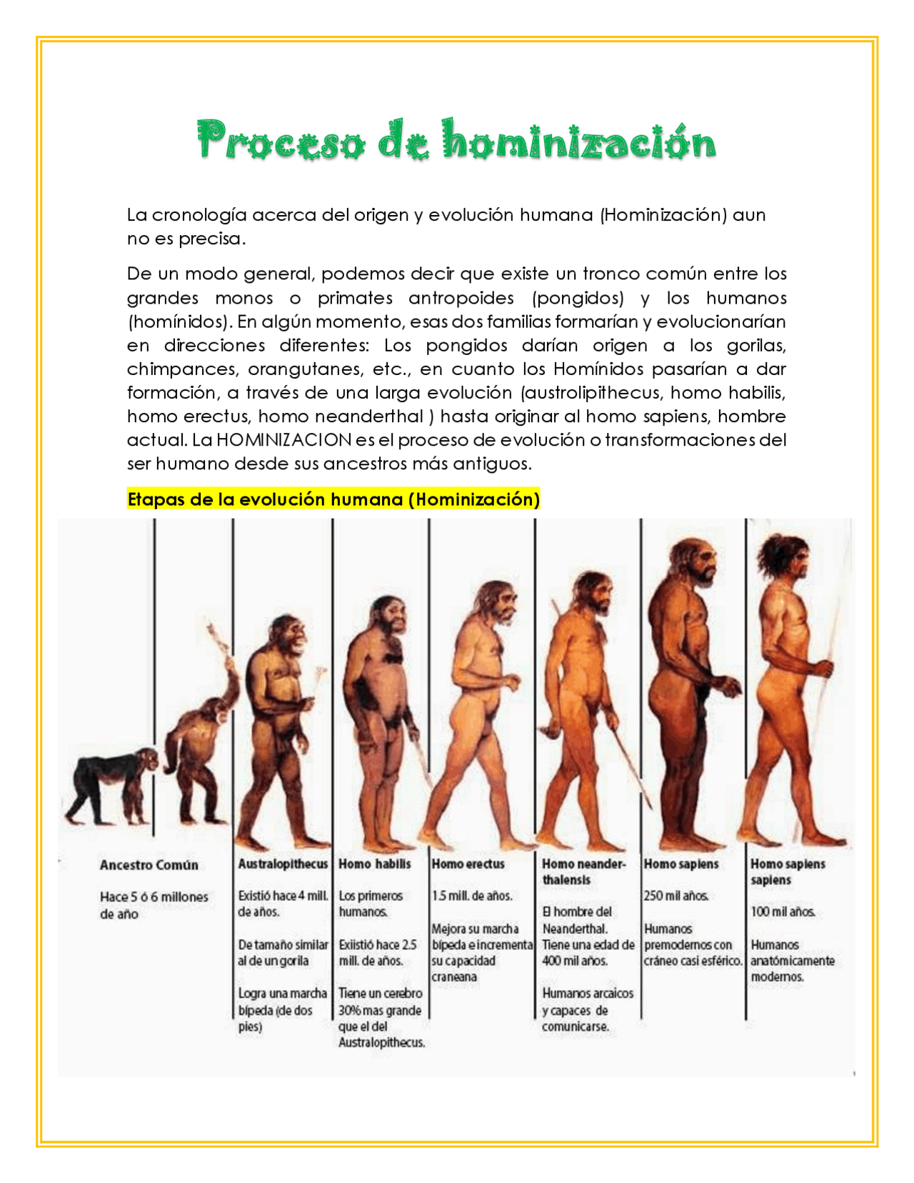 Proceso de hominización Apuntes de Evolución Humana Docsity