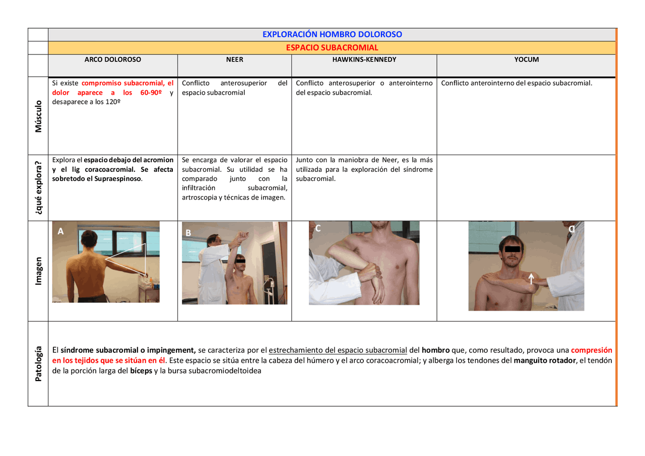 exploración hombro doloroso | Apuntes de Anatomía | Docsity