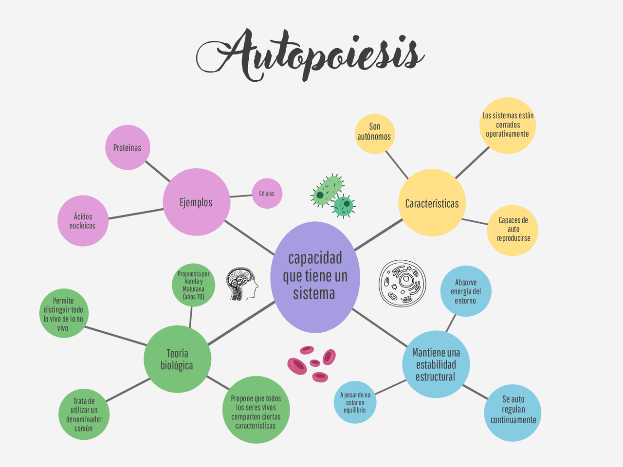 Autopoiesis en biología | Apuntes de Biología | Docsity