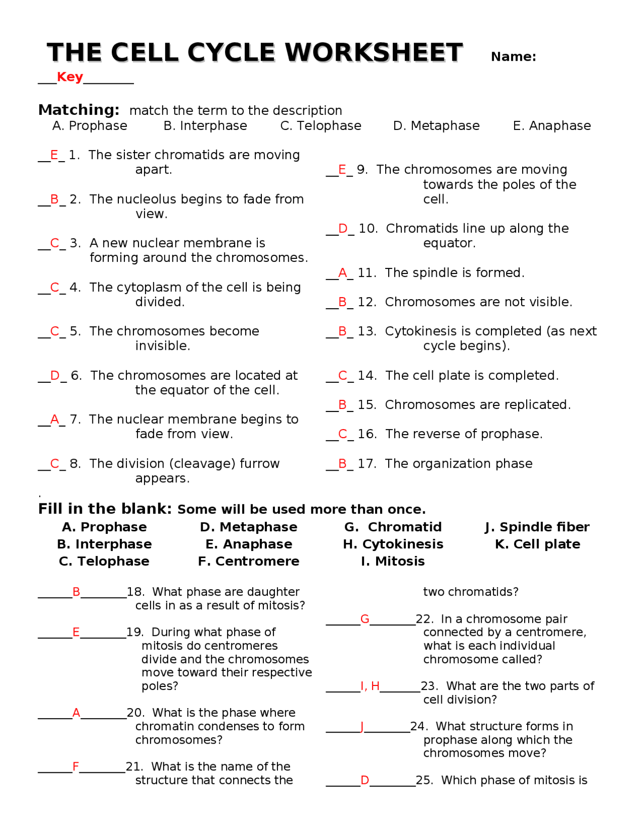 Thecellcycleworksheet Biology Diagrams